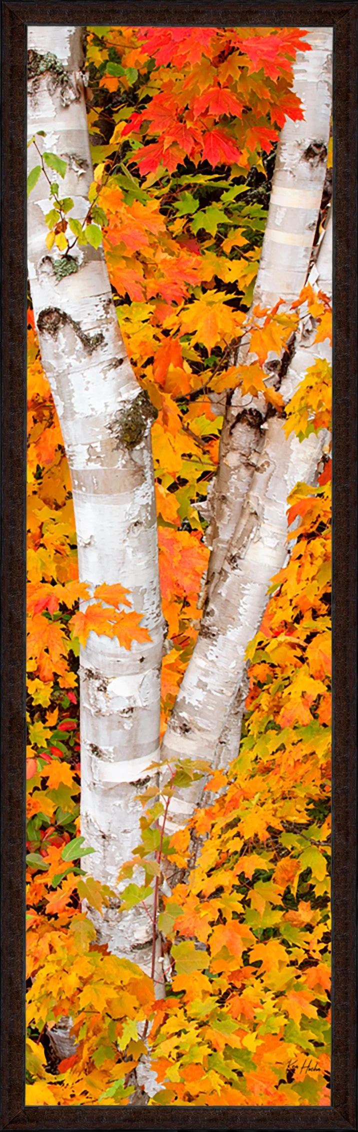 Somewhere in the Heart Framed 87.jpg