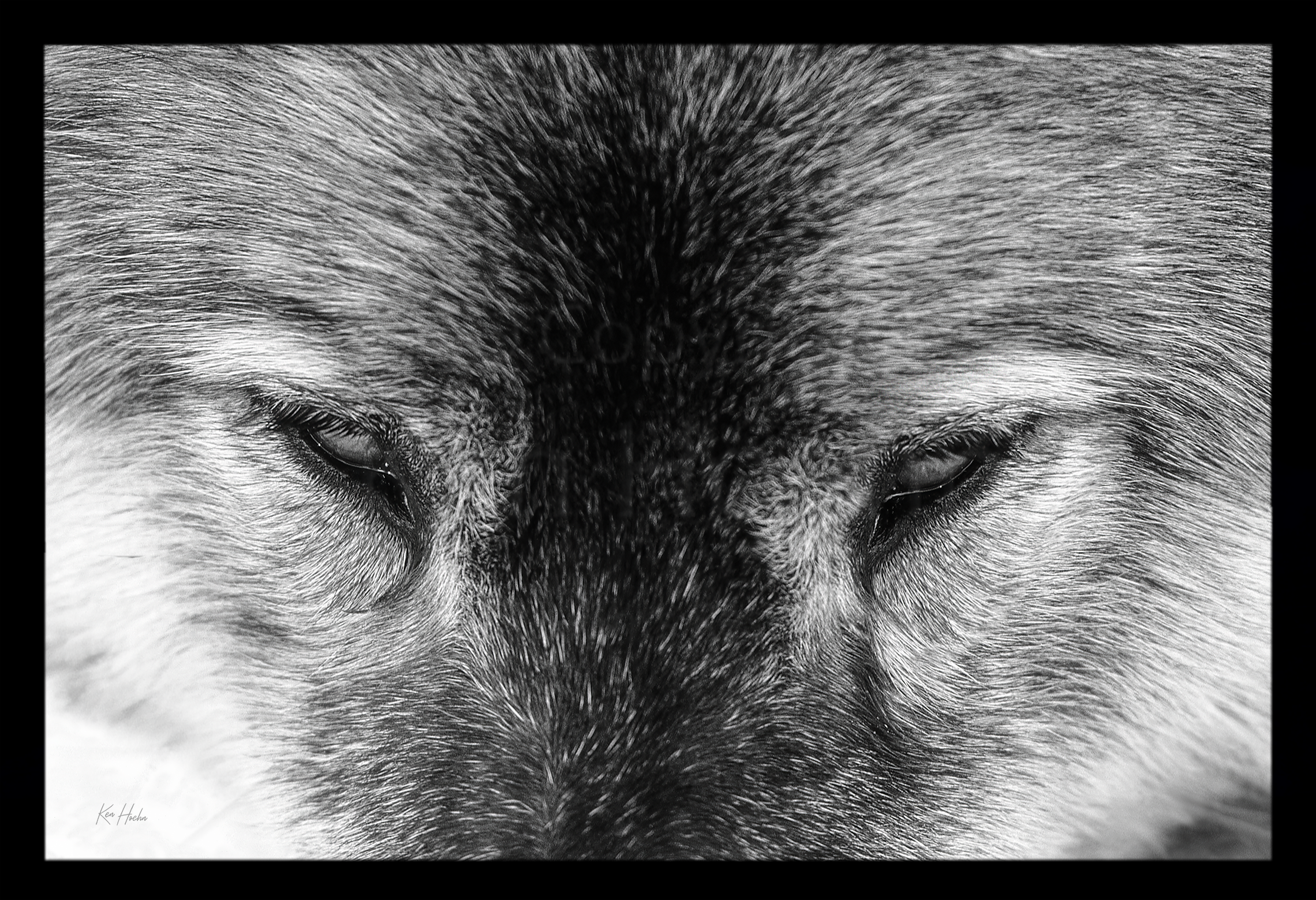 target acquired 3to2 fr01.webp