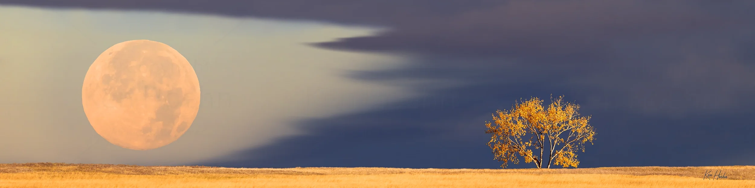 harvest moon 4 to 1 watermarked.webp