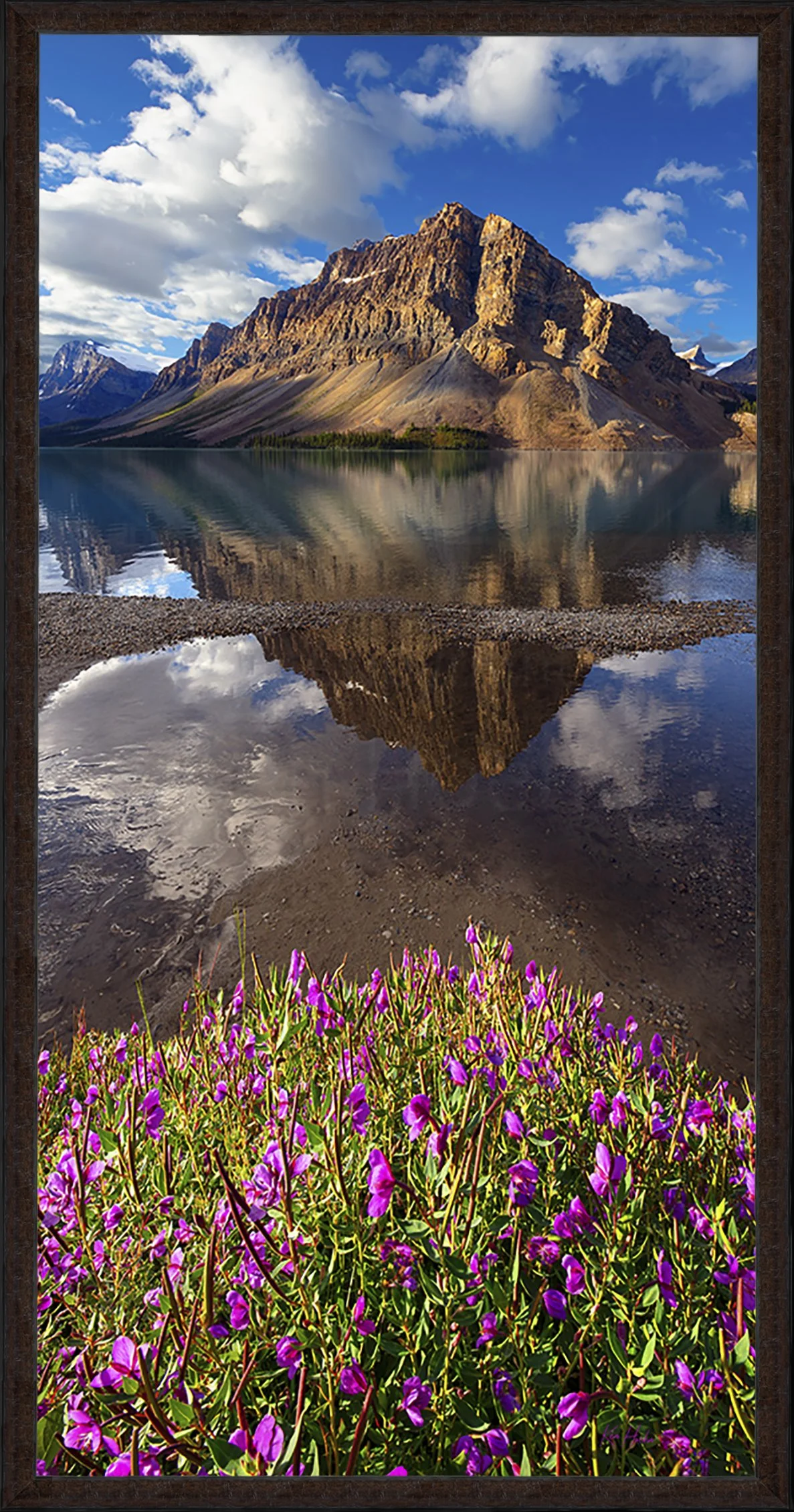 Things Are Looking Up Framed.jpg