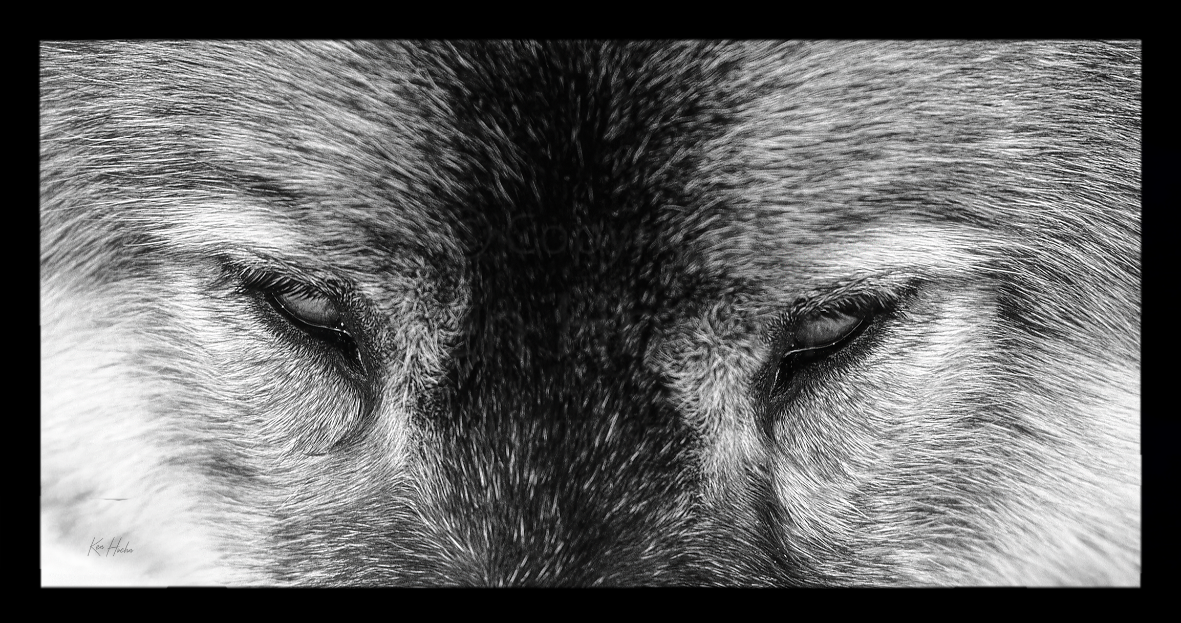 target acquired 2to1 fr01.webp