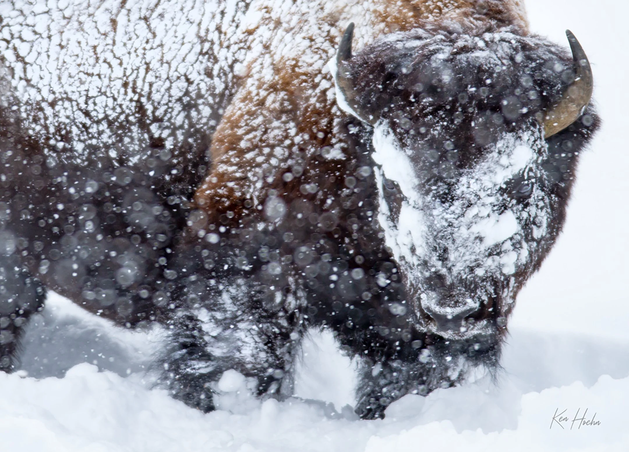 Unstoppable Unframed.jpg