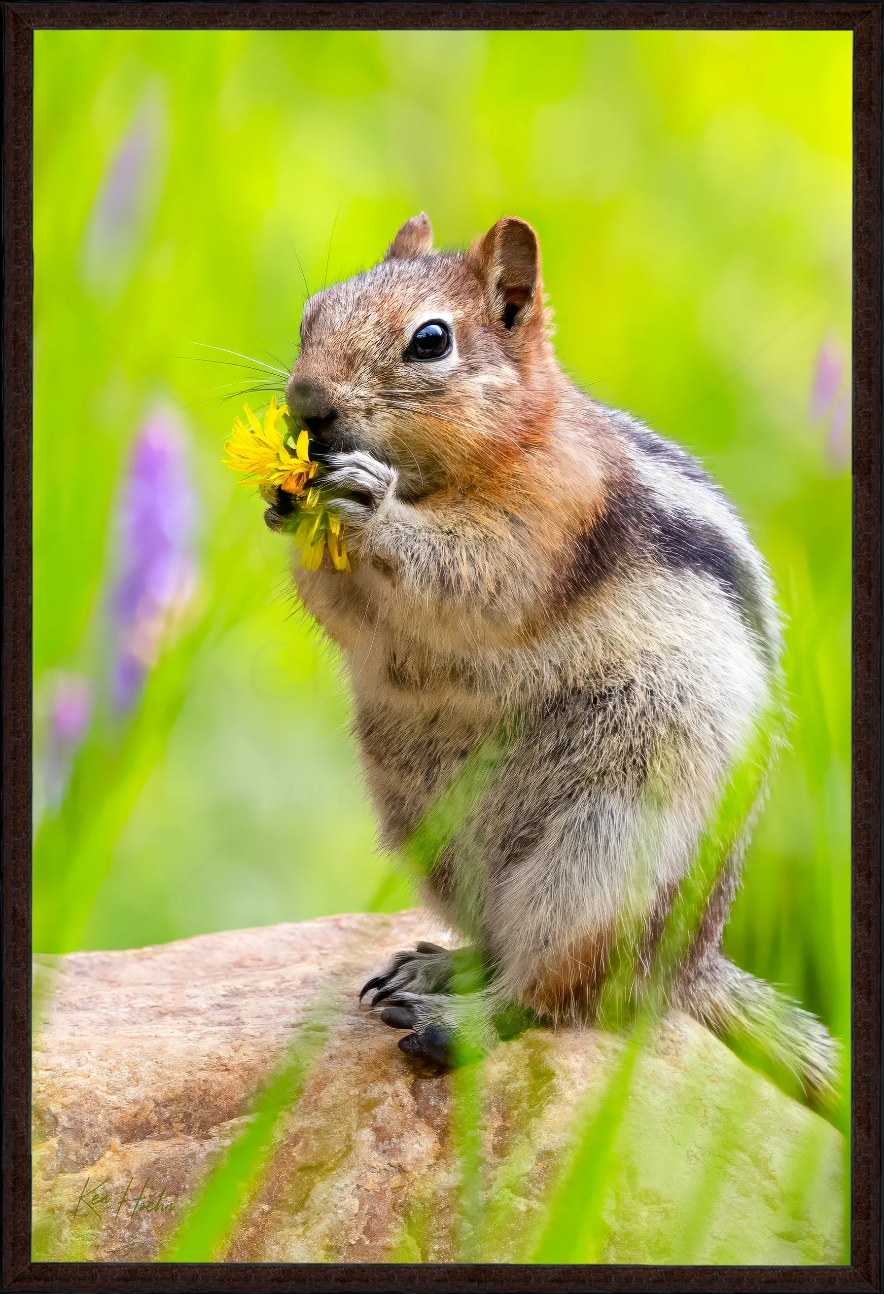 stop and fr87 watermarked.webp