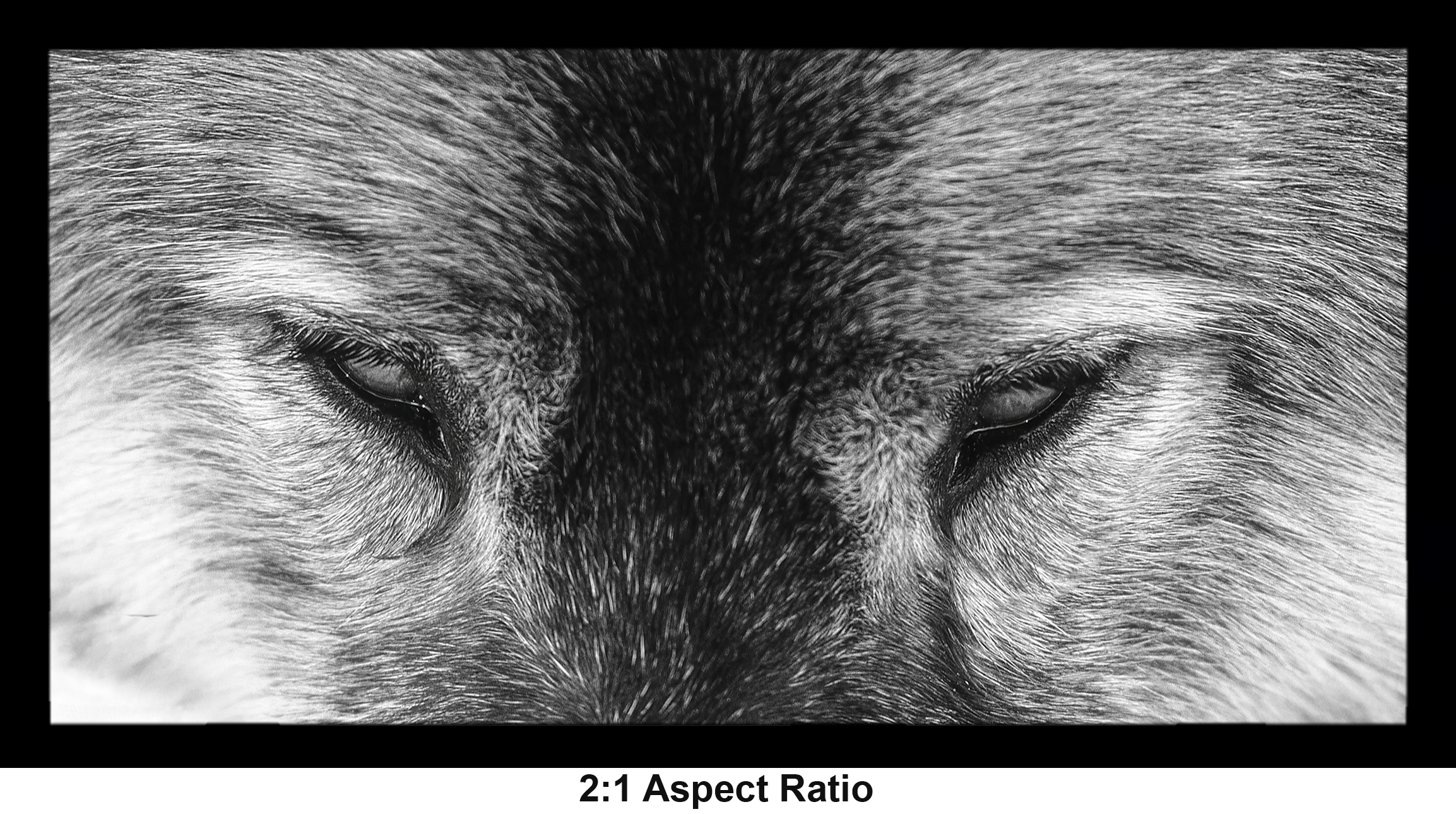 framed target acquired 2to1 with aspect.png