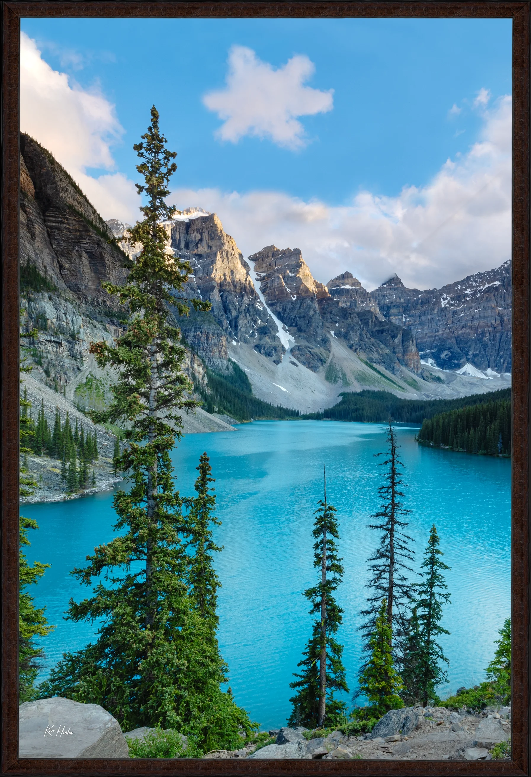 a turtle story fr87 watermarked.webp