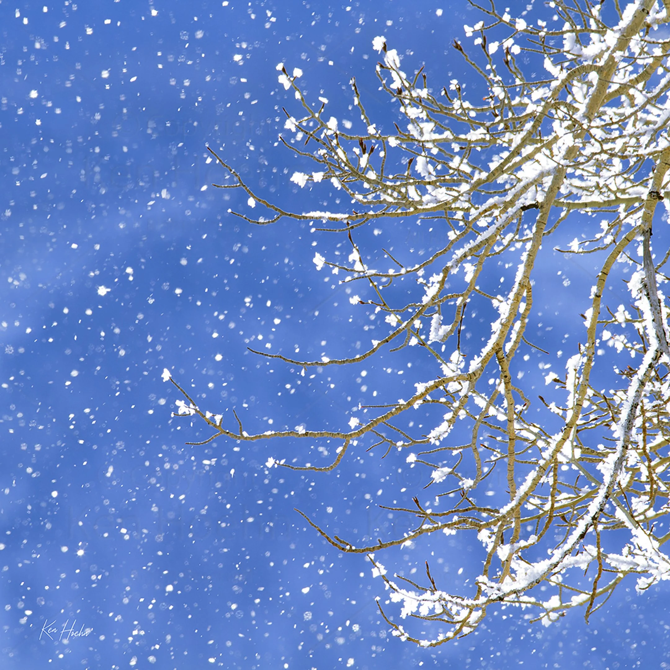 The Big Wind Unframed.jpg