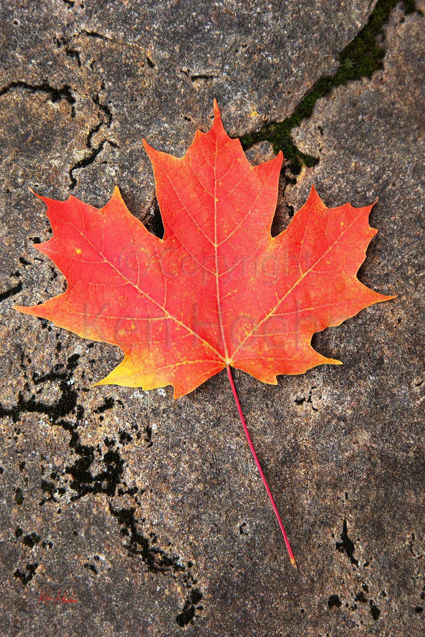 Granite Strong Forever Free.jpg