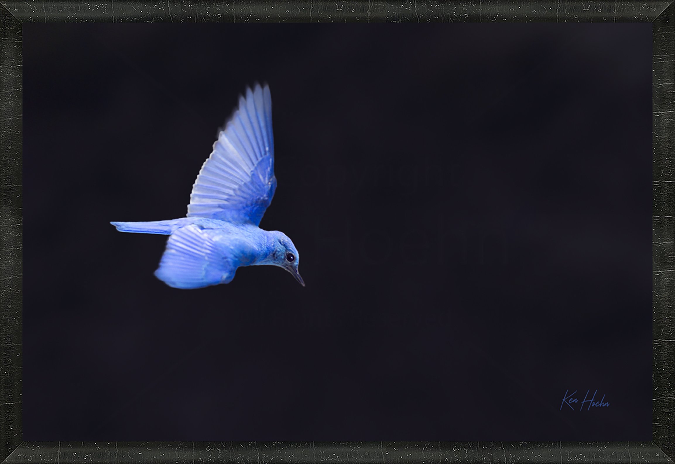 That Flash of Blue Framed 45.jpg