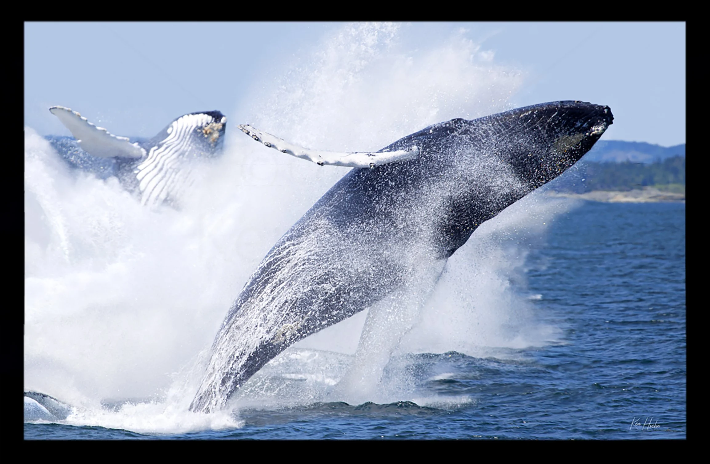 Dancing on the Diamond Sea Framed 01.jpg