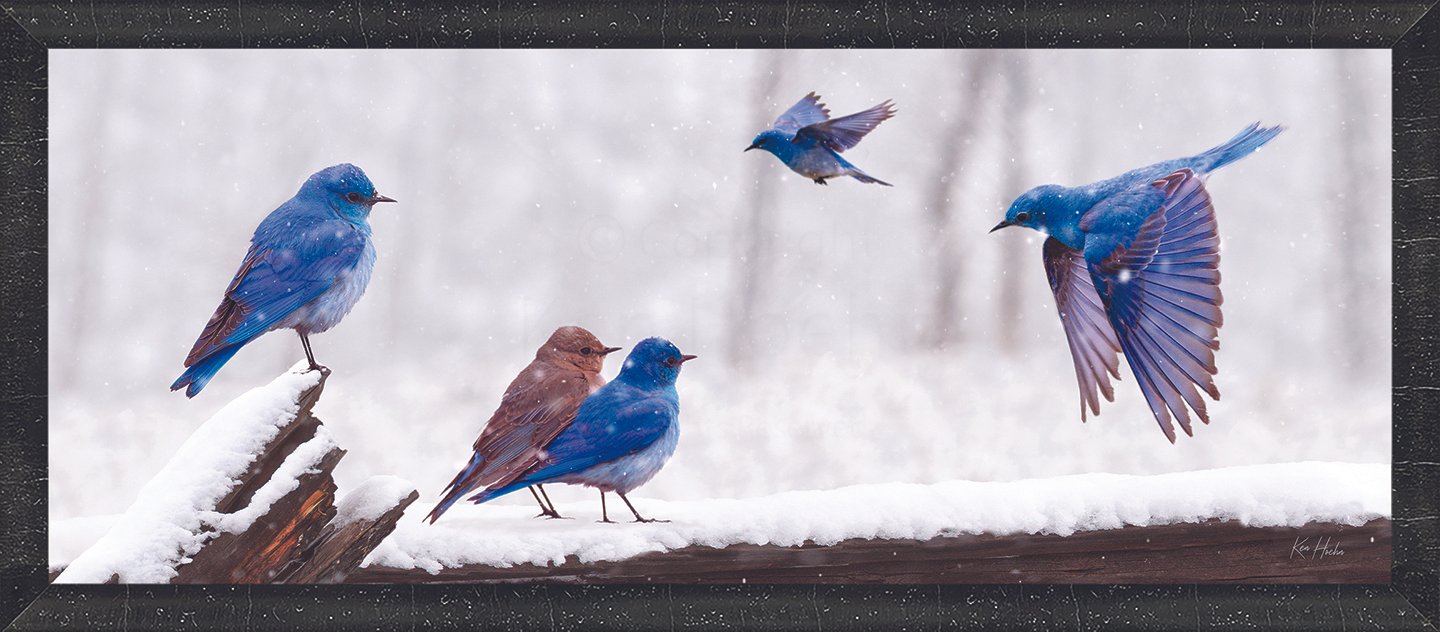 Coming Home framed 87.jpg