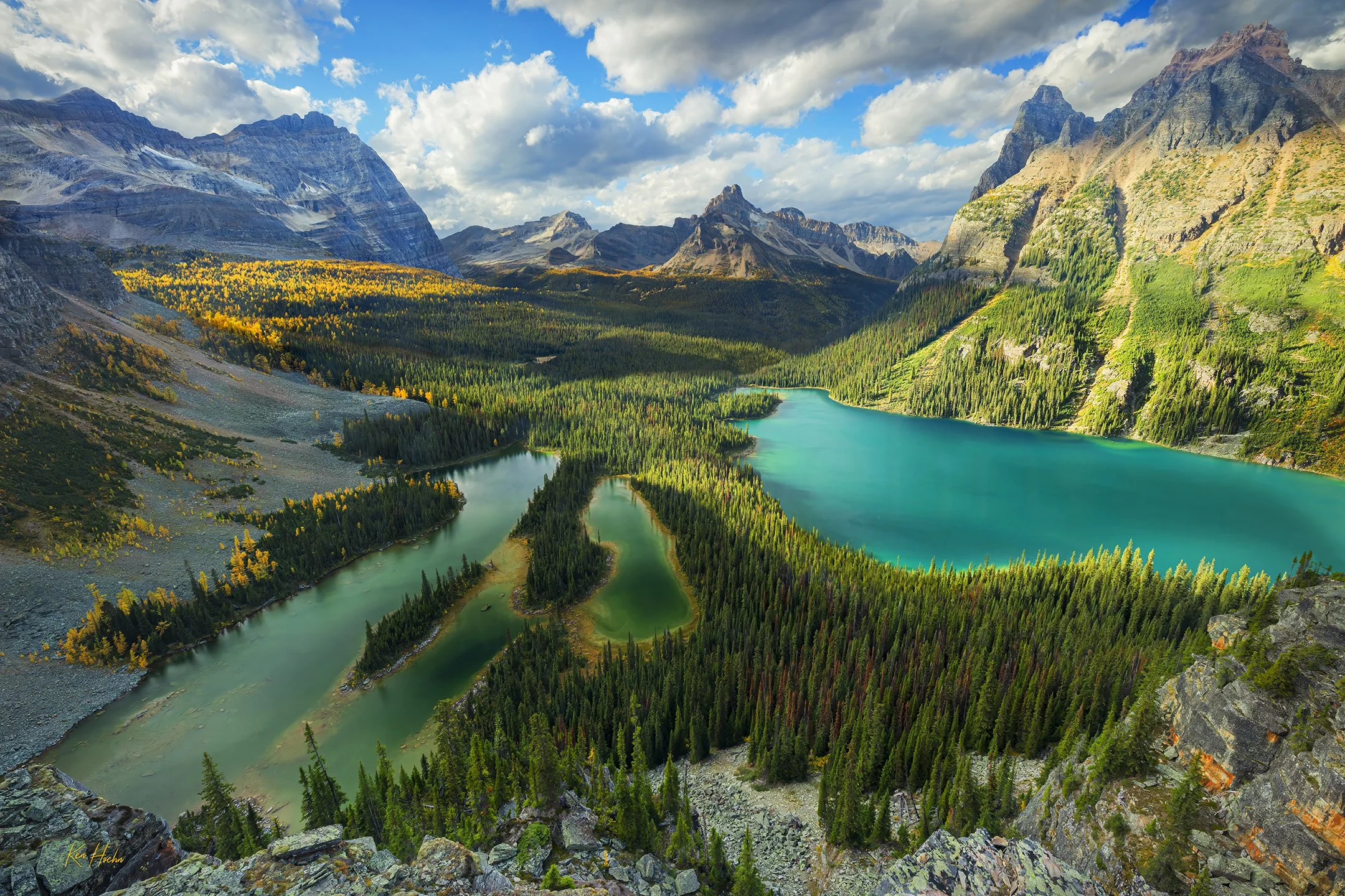 Light in the Valley.jpg