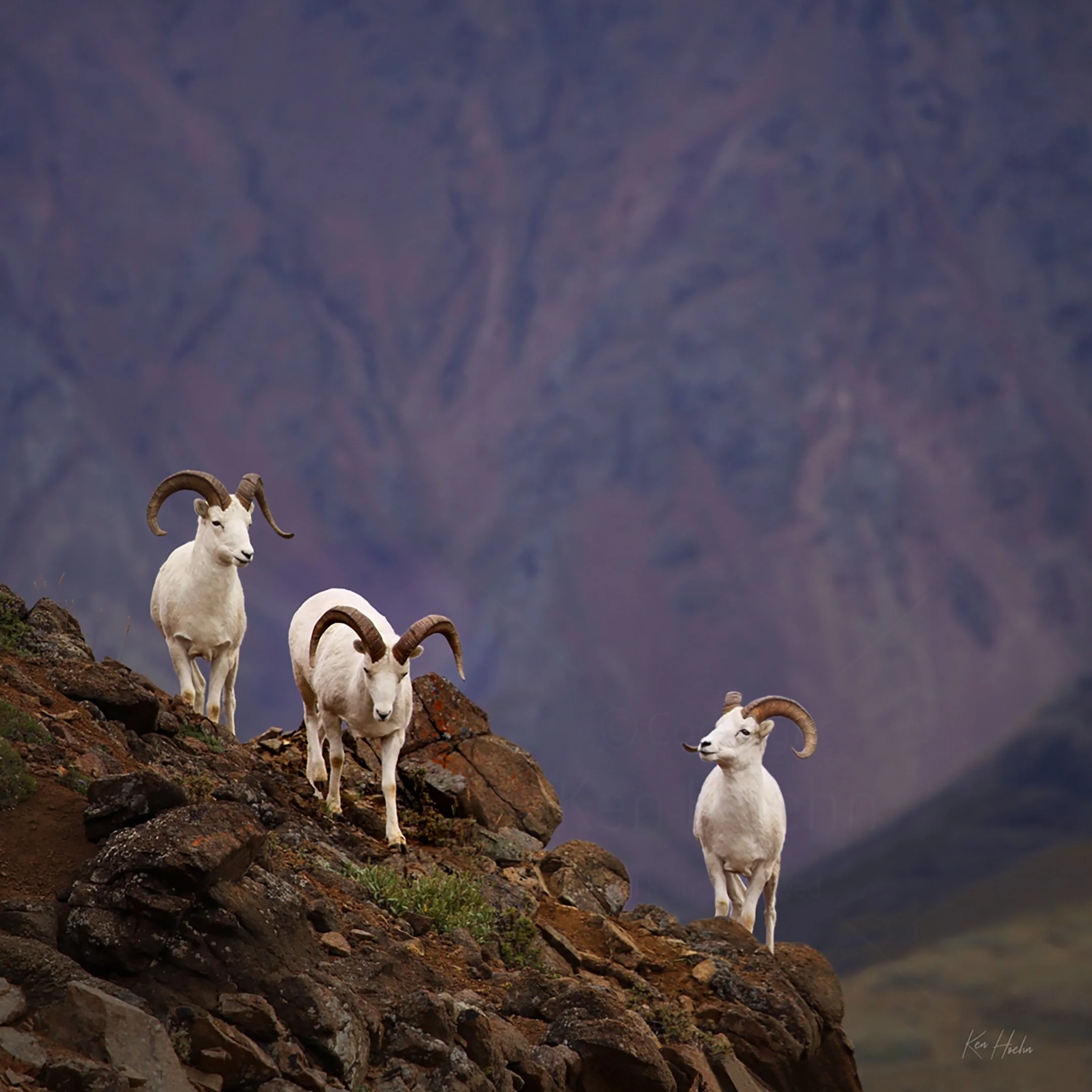 Friends in High Places Unframed.jpg
