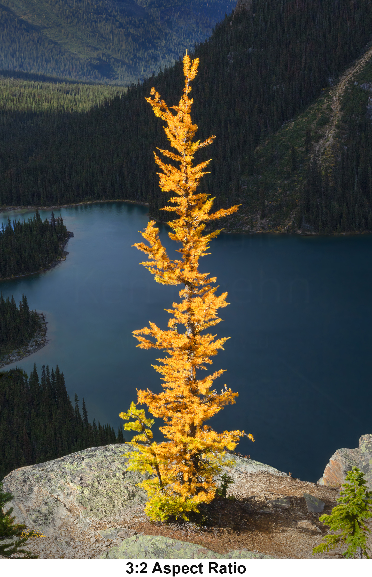 Unframed Hope 3 to 2 with Aspect.png