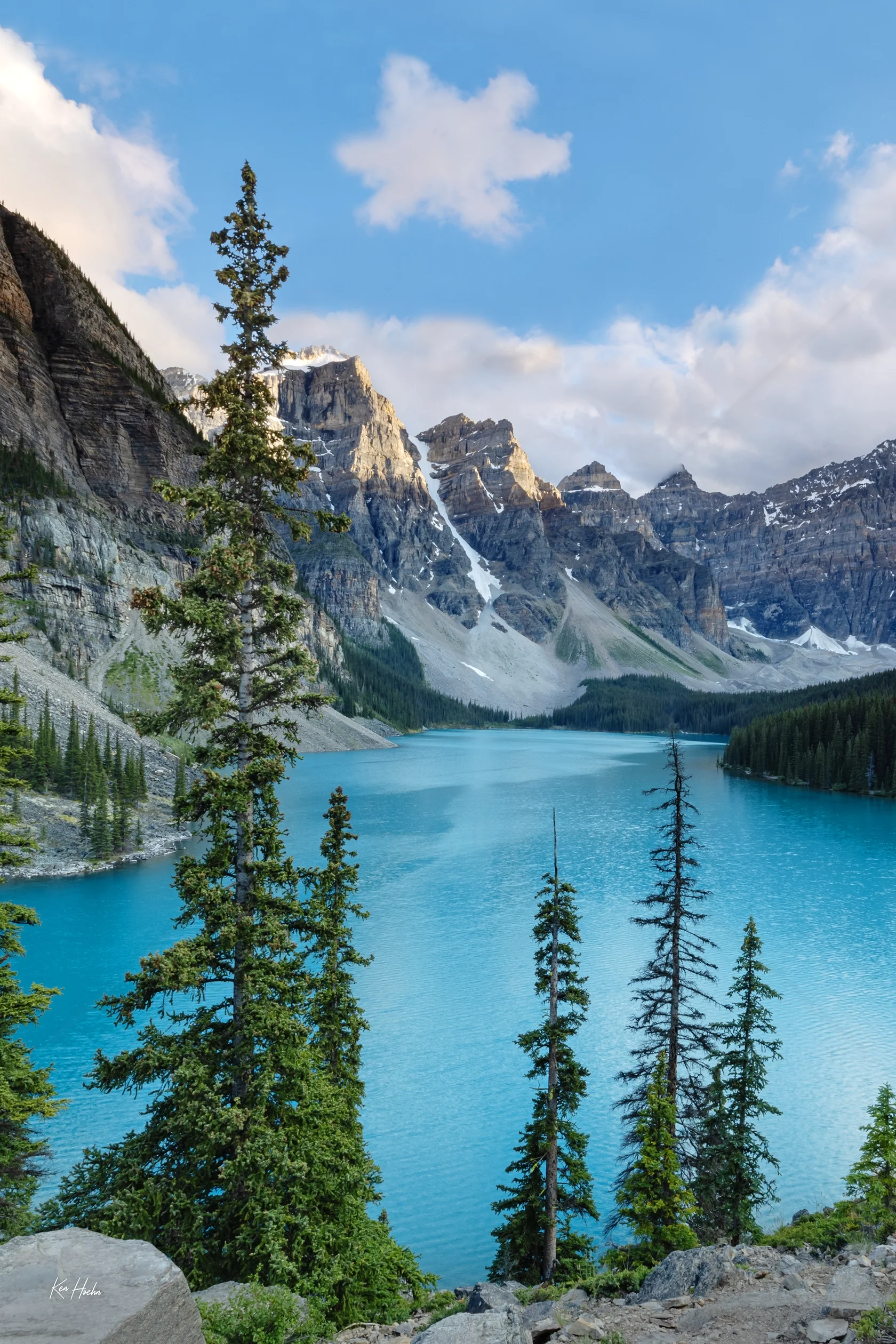 a turtle story watermarked.webp