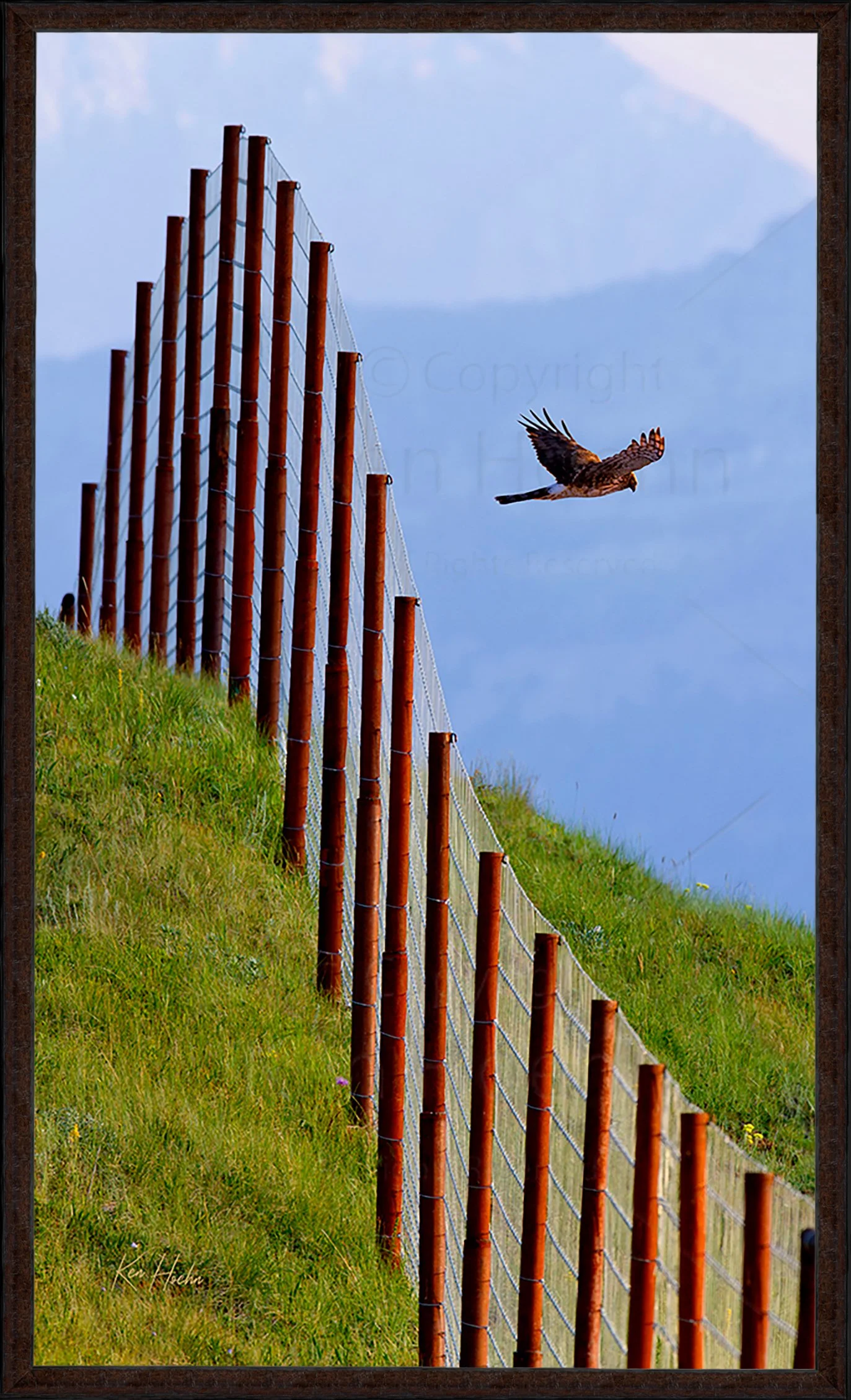 Redemption Framed 87.jpg