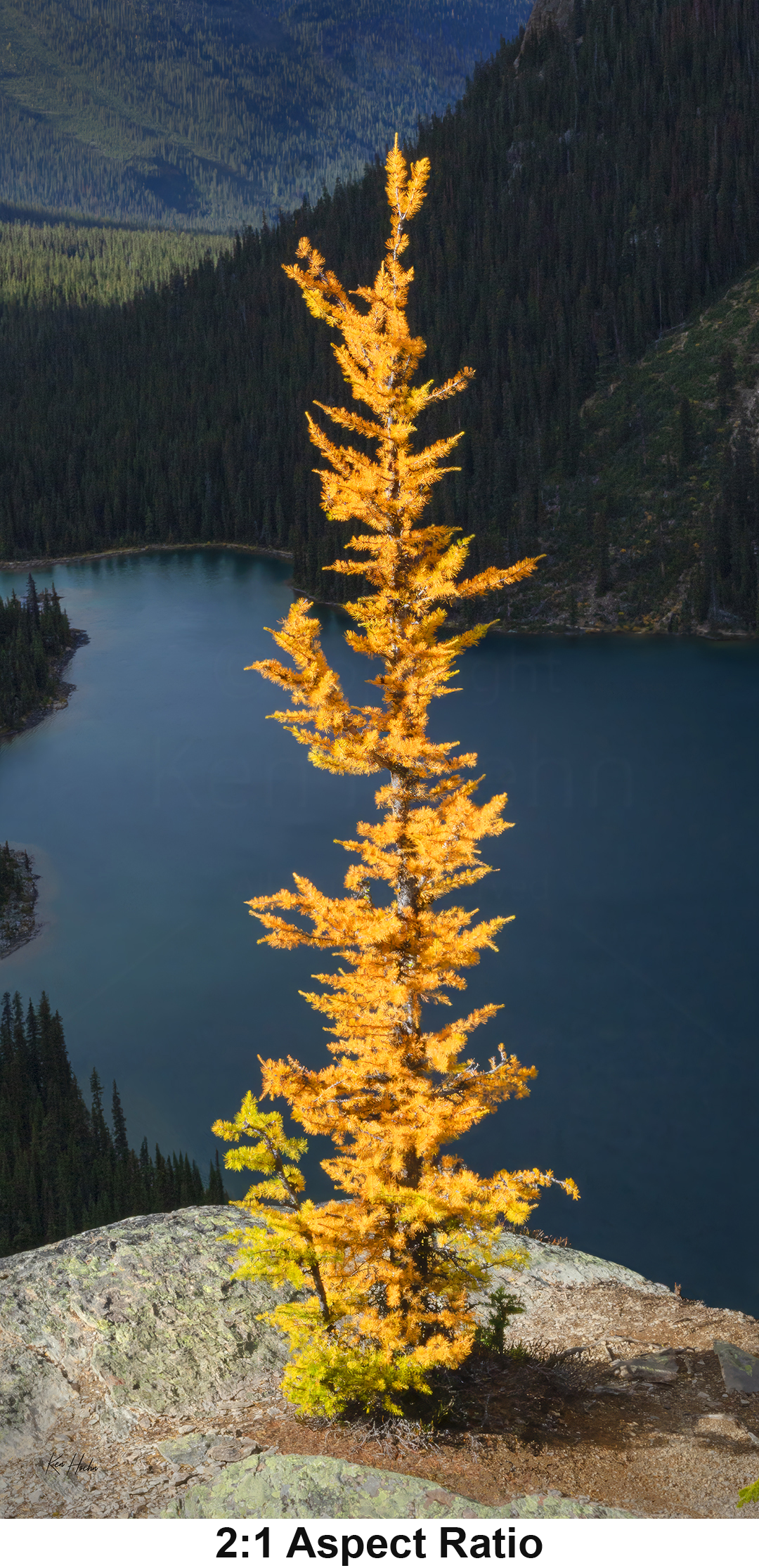 Unframed Hope 2 to 1 with Aspect.png