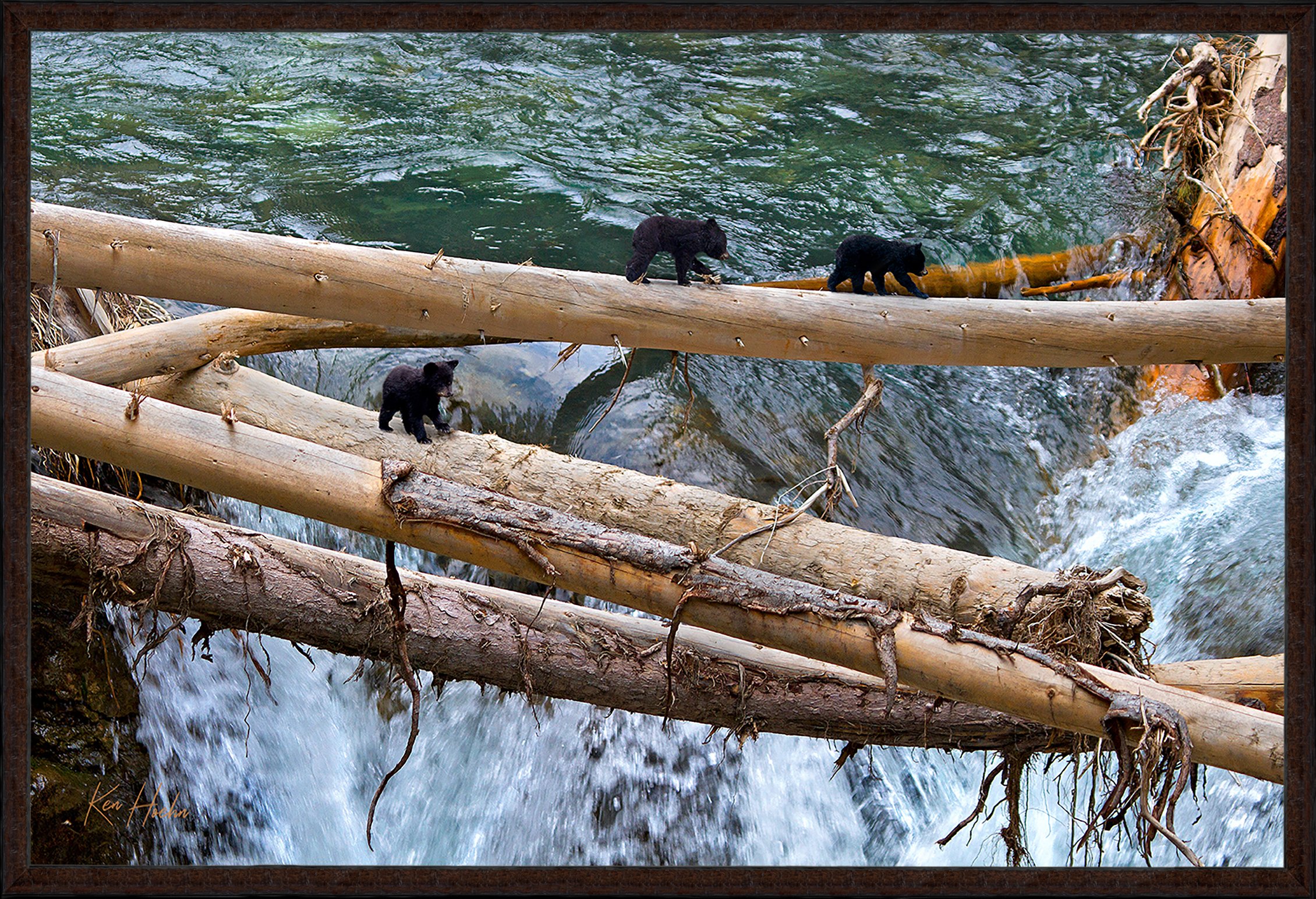 The Crossing FR 87.jpg