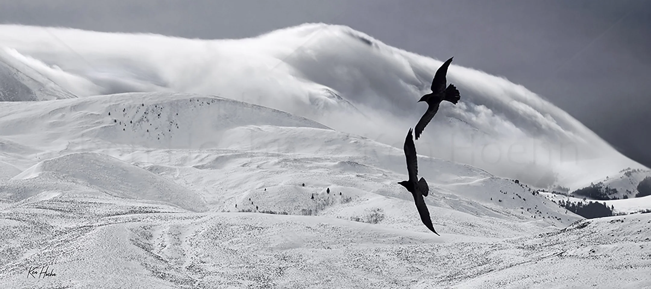 When First We Found the Wind.jpg