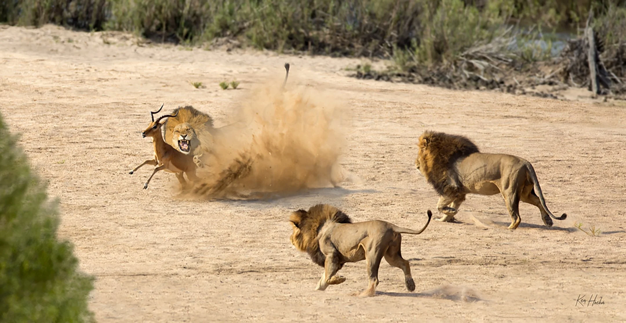 Dont Celebrate in Sand Unframed.jpg