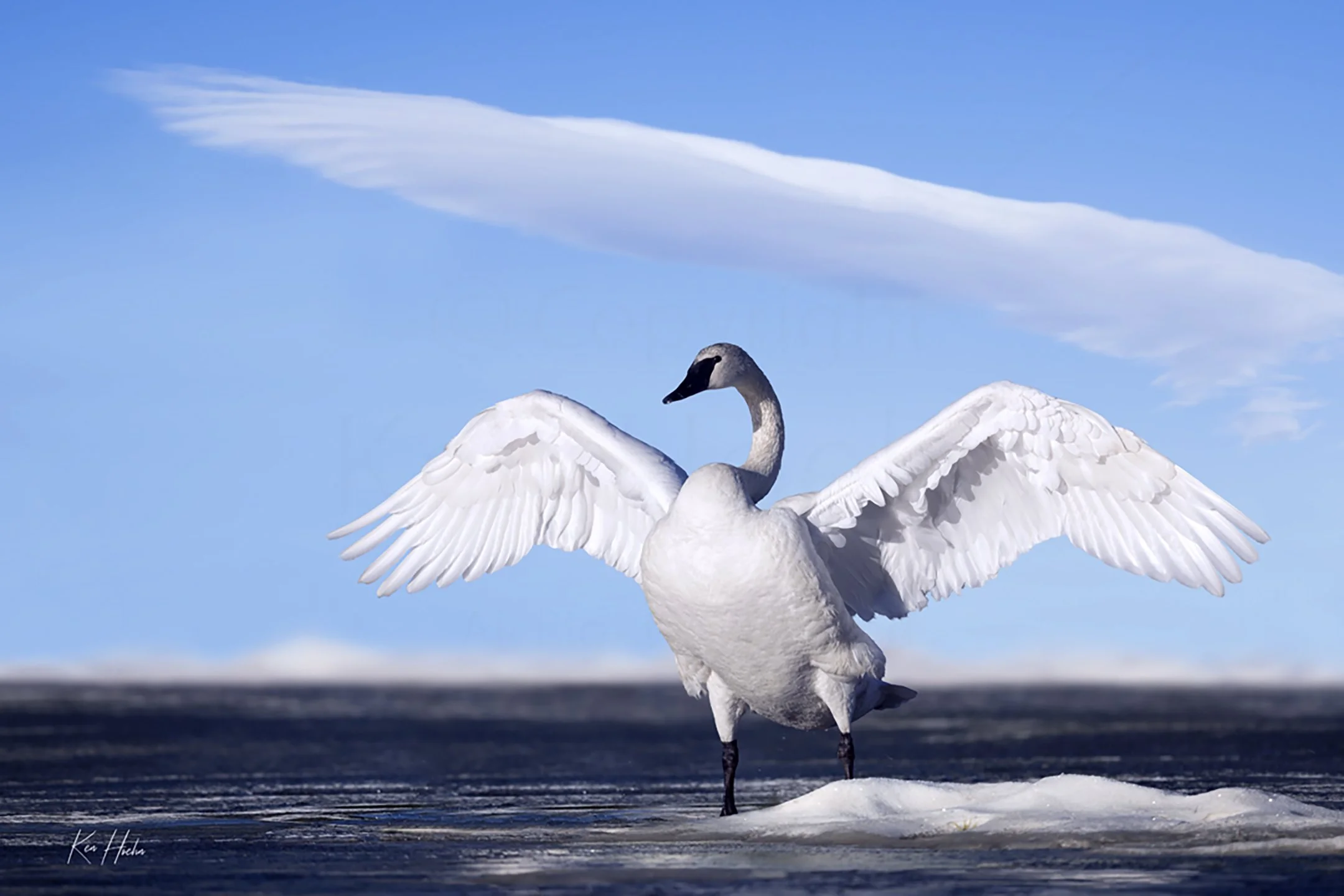 A Sign Above Unframed.jpg