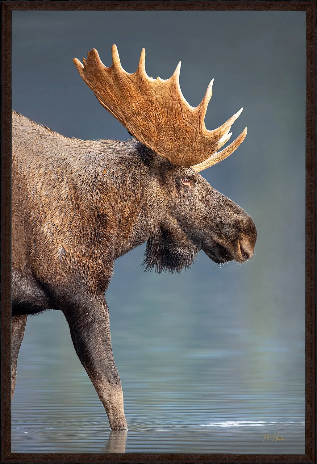 A Battle Prince Framed.jpg