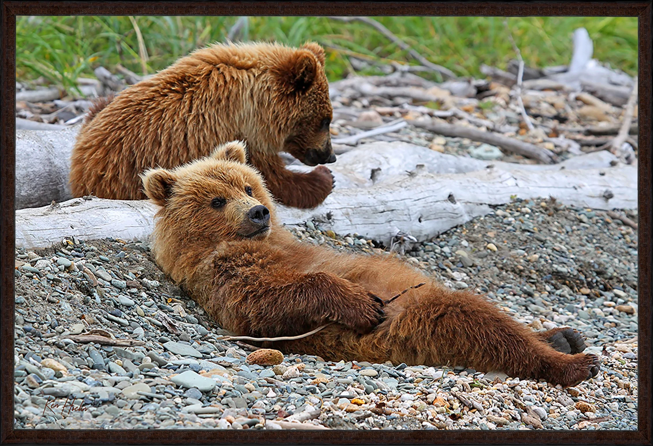 Afternoon Downtime FR 87.jpg