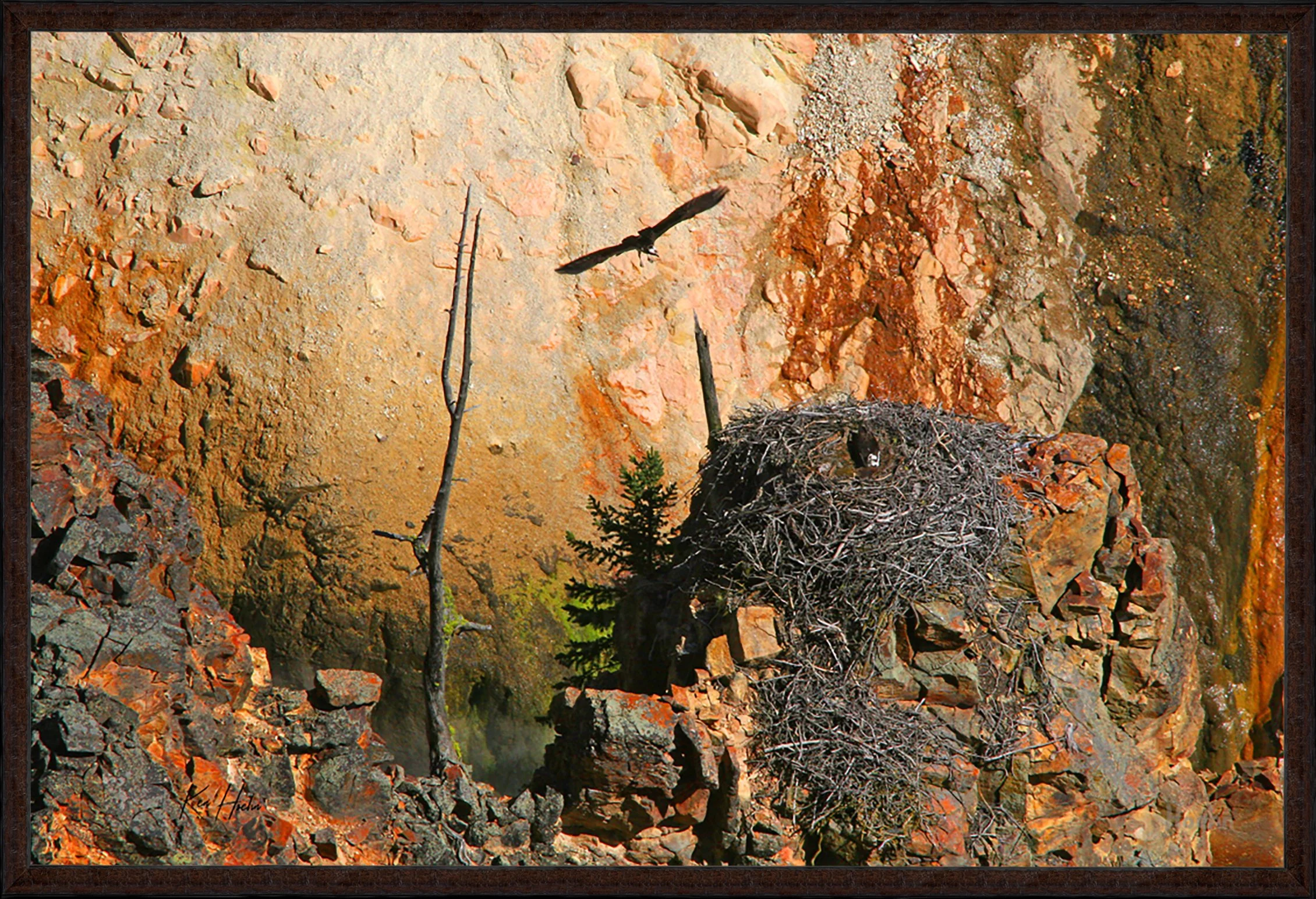 A Place in the Canyon Framed 87.jpg