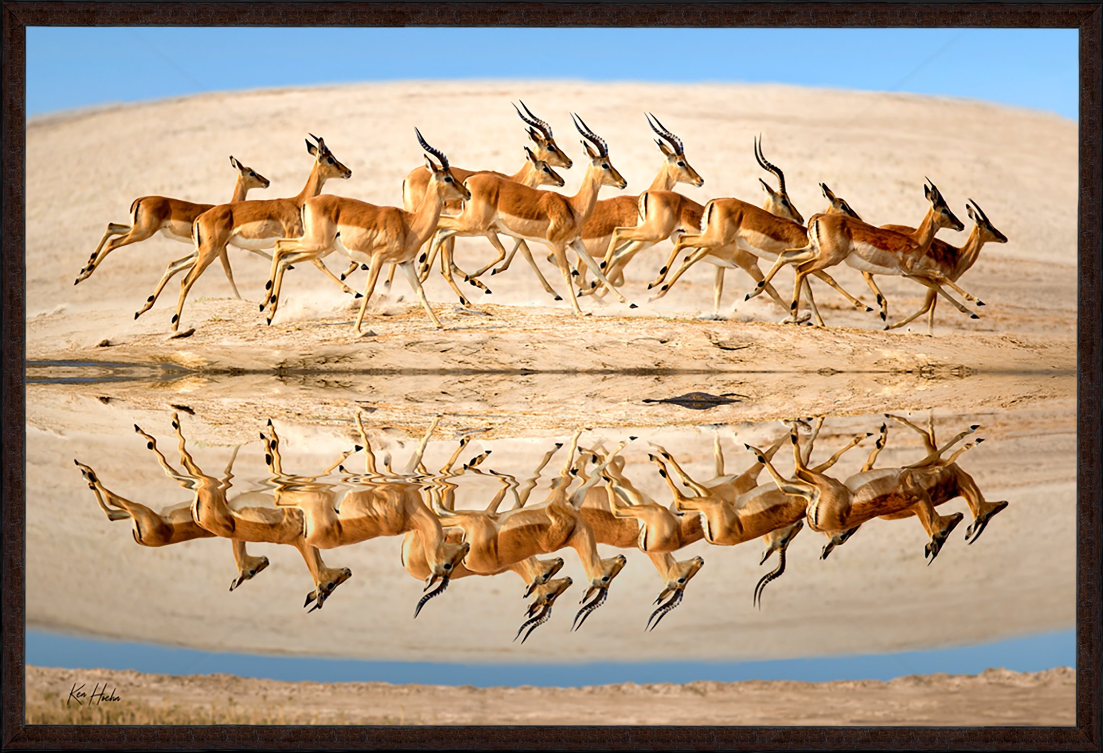 Impalalala Framed 87.jpg