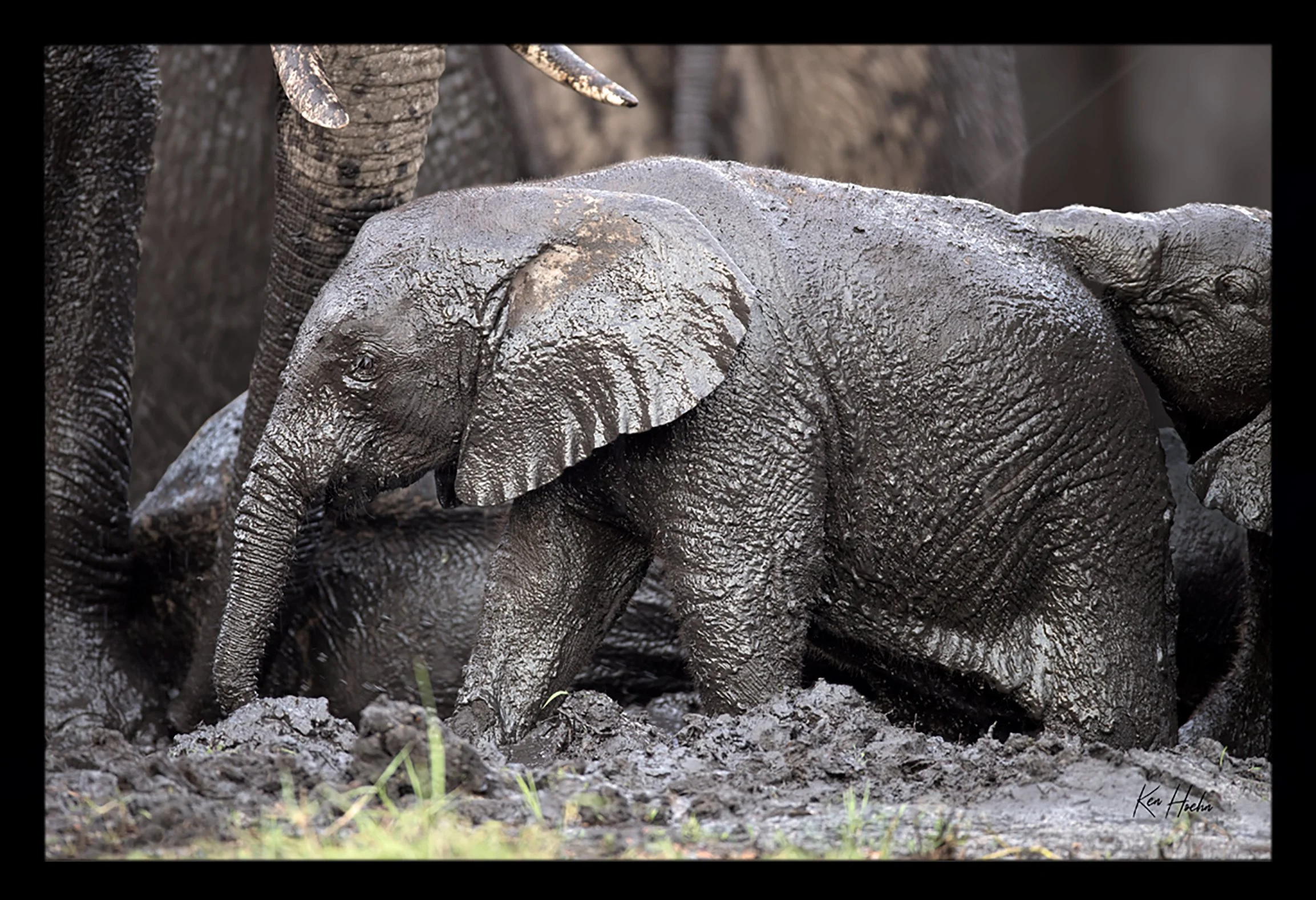 Mud Puddle Free Framed 01.jpg