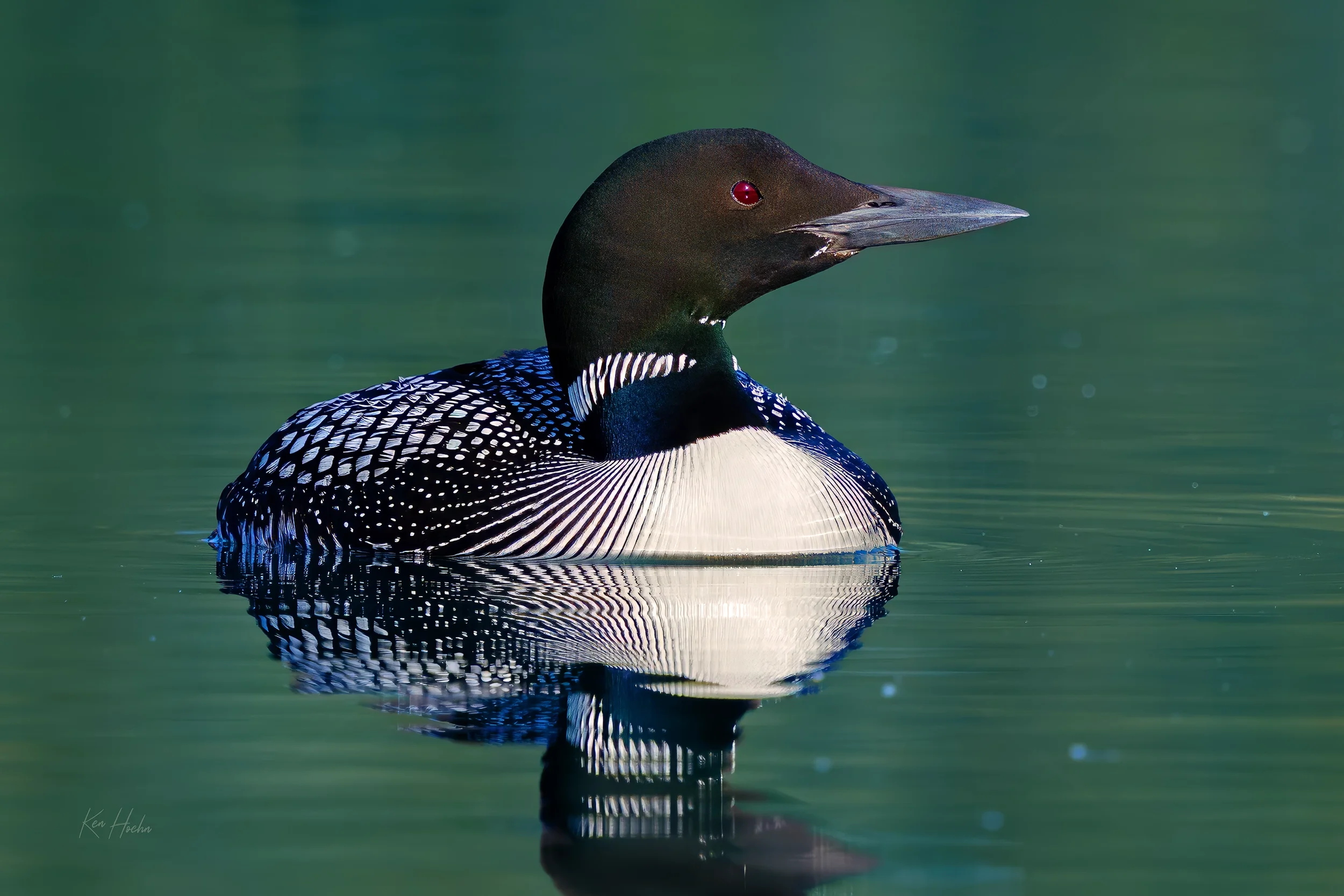 a canadian classic watermarked.webp