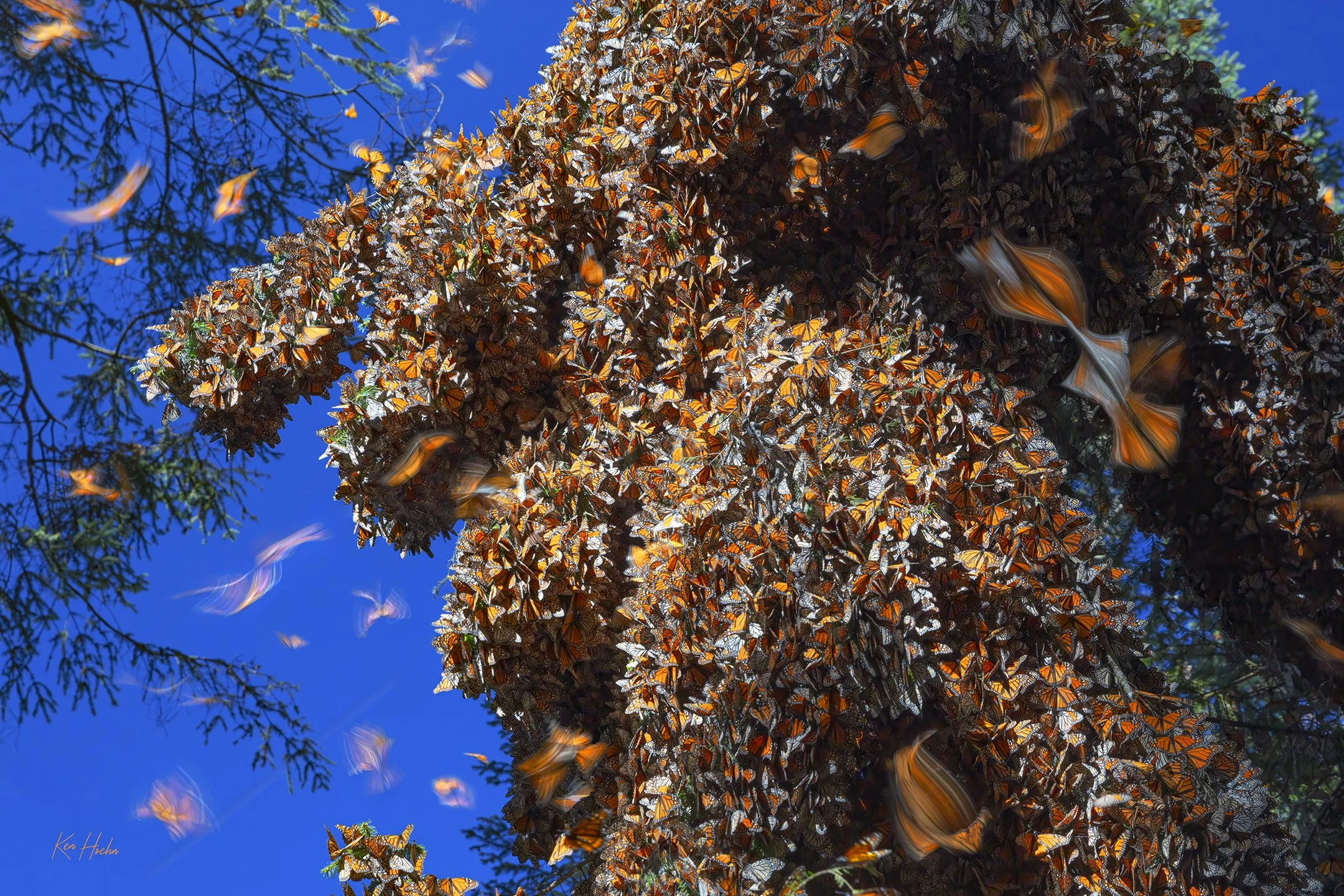 Free Your Spirit.jpg