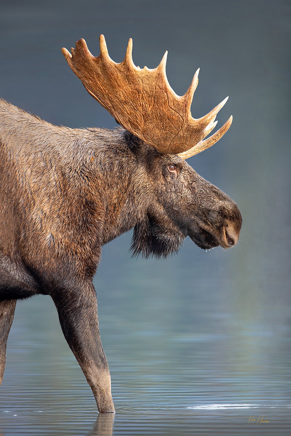 A Battle Prince Unframed.jpg