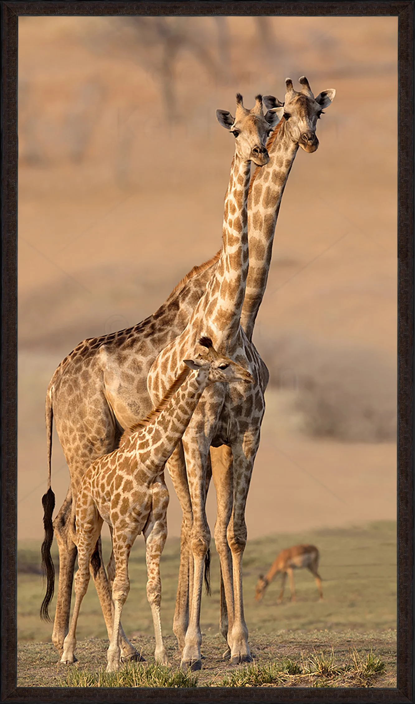 Necking Leads to Responsibilities Framed 87.jpg