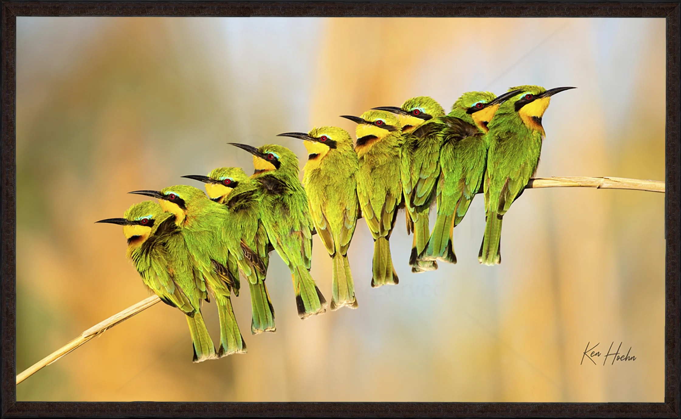 Nine Little Secrets Framed 87.jpg