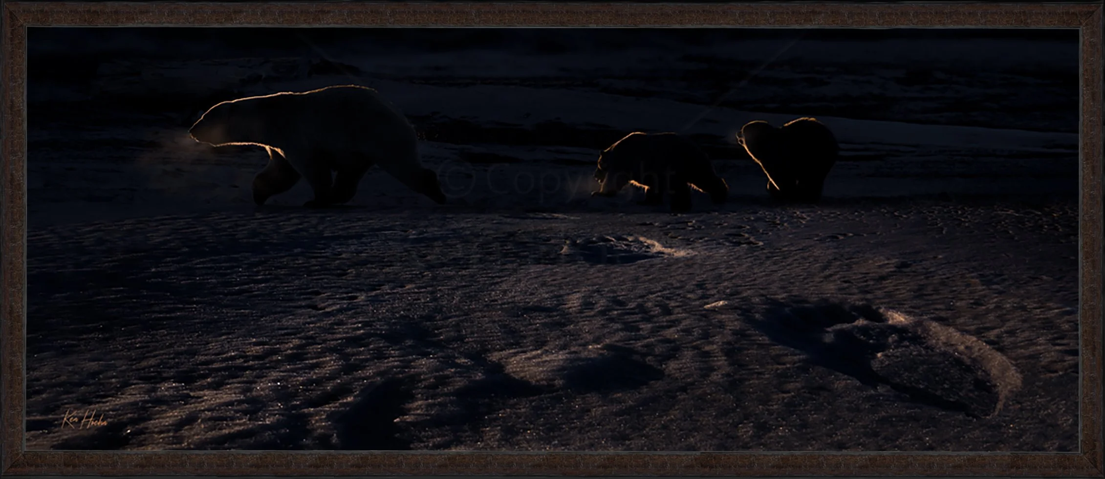 Polar Passing Framed 87.jpg