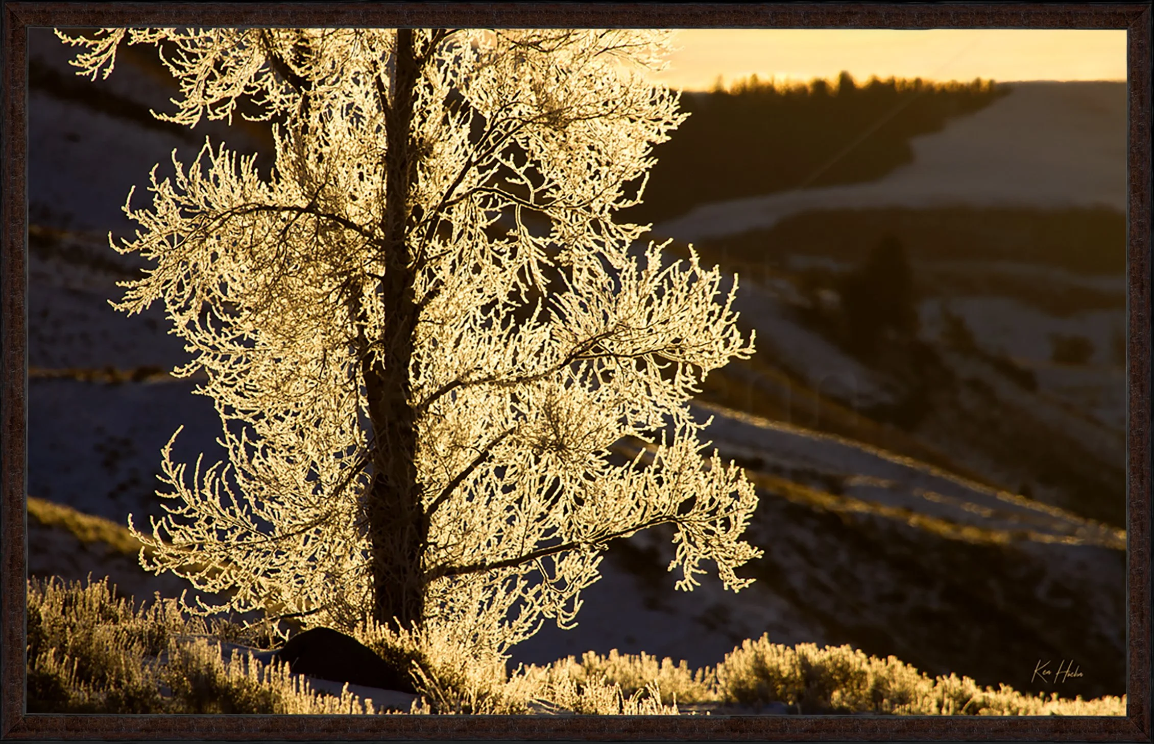 All that Glitters Framed 87.jpg