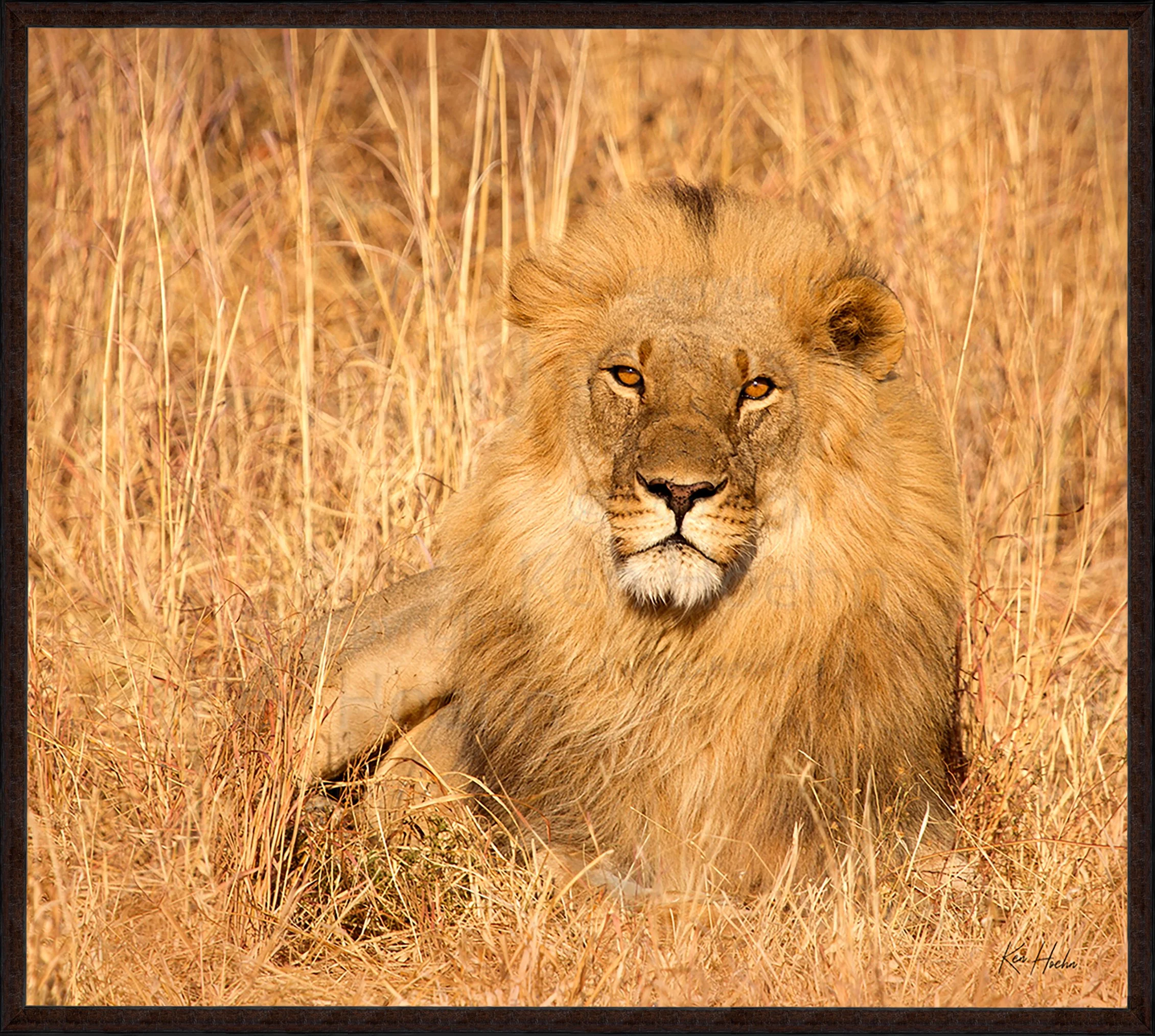 Adrenaline Grass Framed 87.jpg