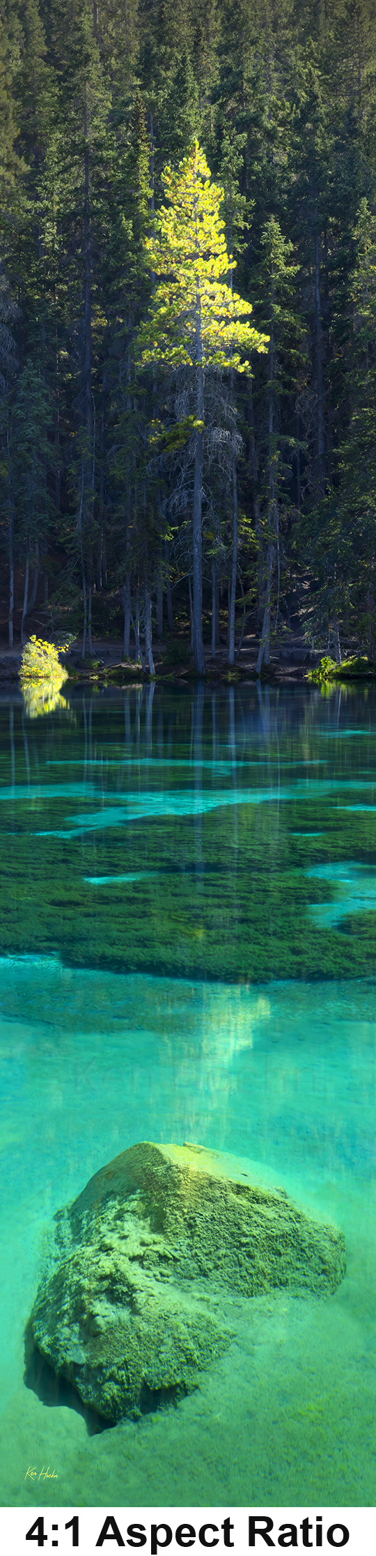 Unframed Essence 4 to 1 with Aspect.png