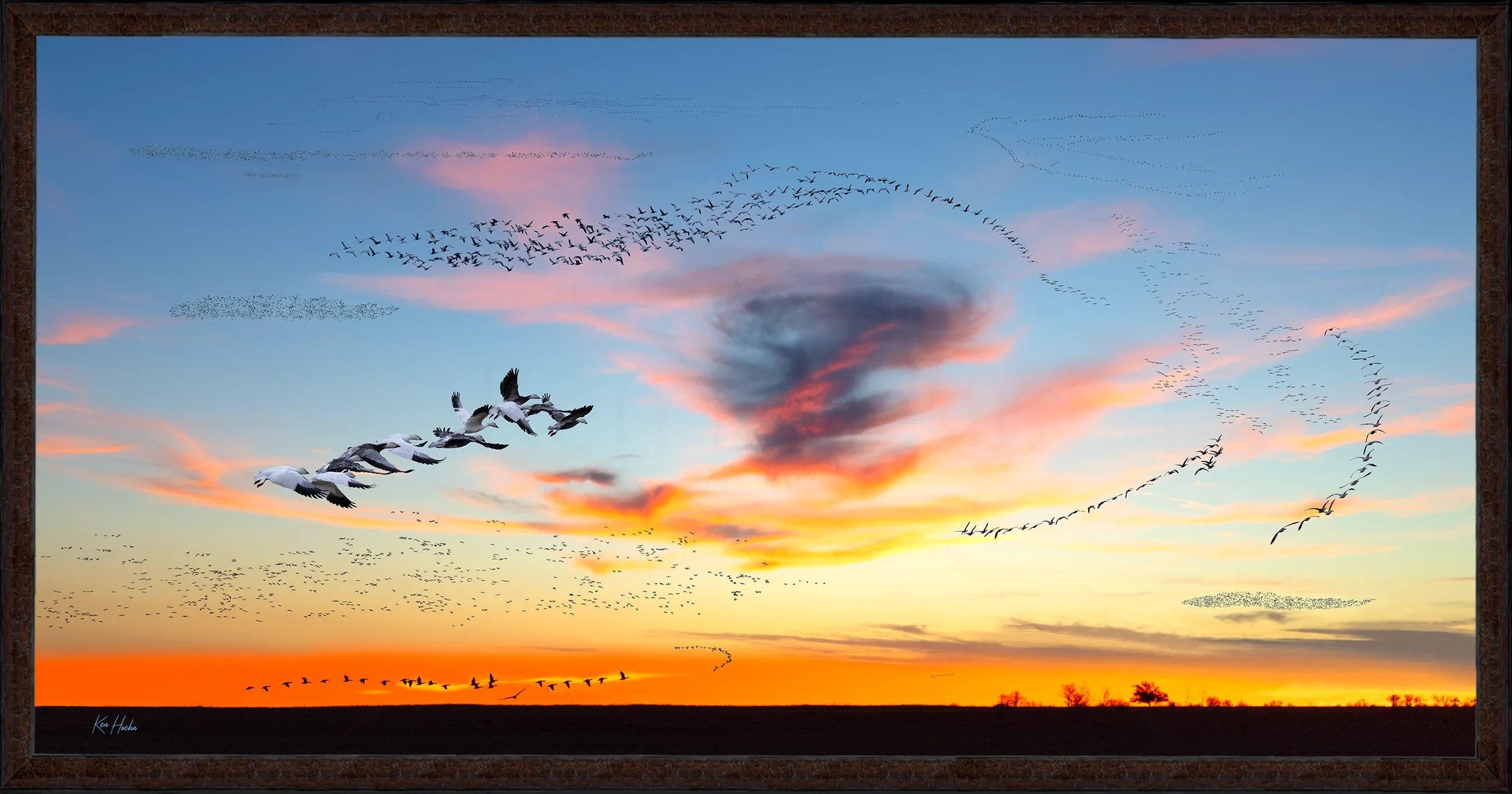 the big wheel fr87 watermarked.webp