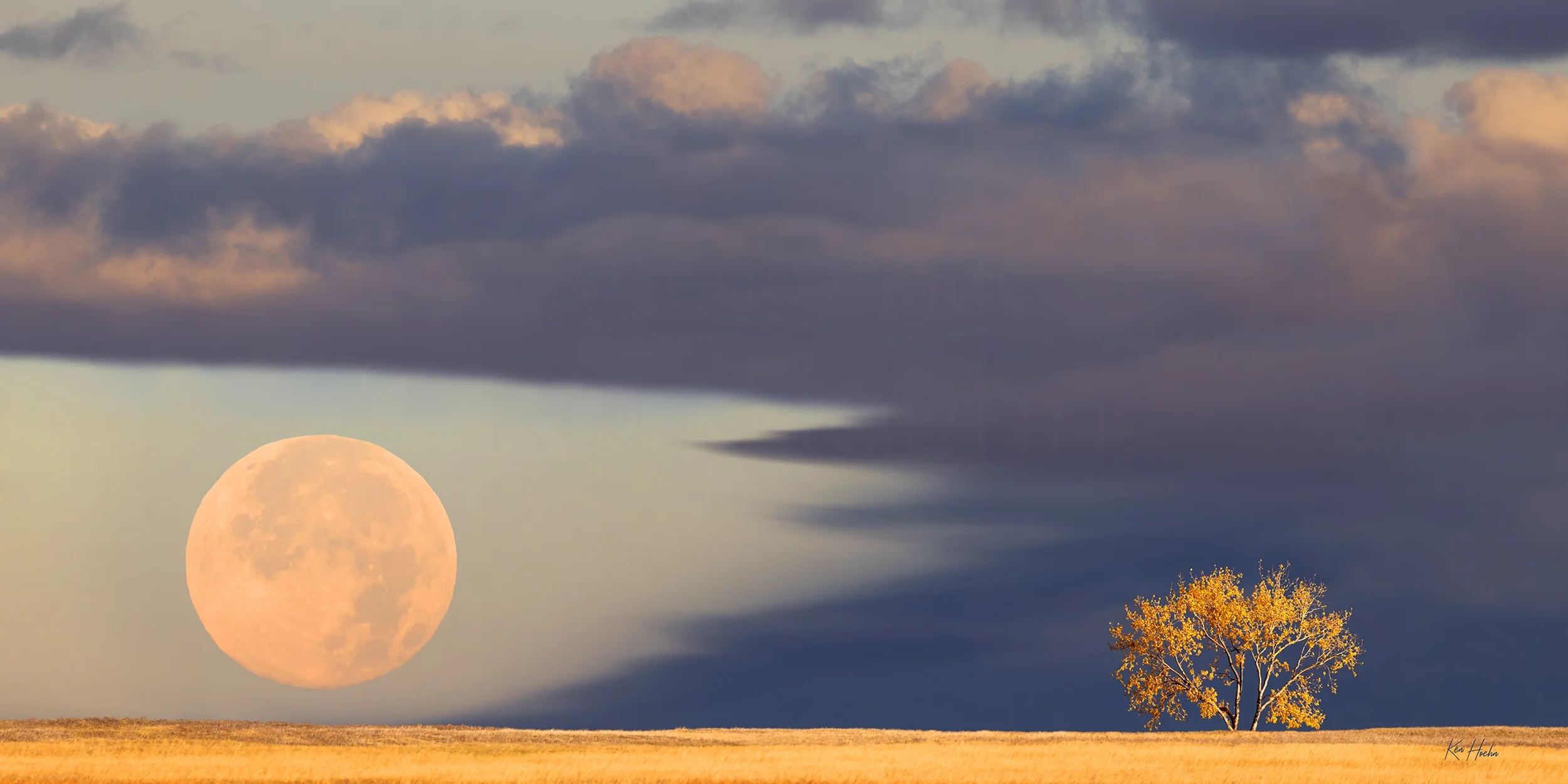 harvest moon 2 to 1 watermarked.webp