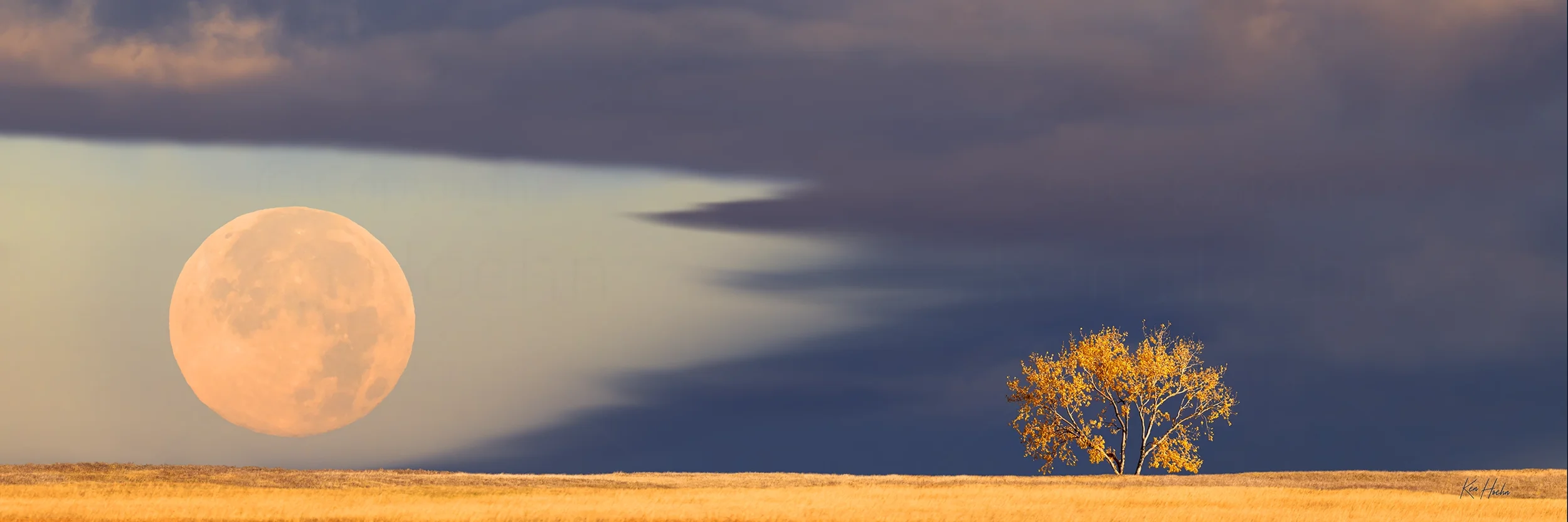 harvest moon 3 to 1 watermarked.webp