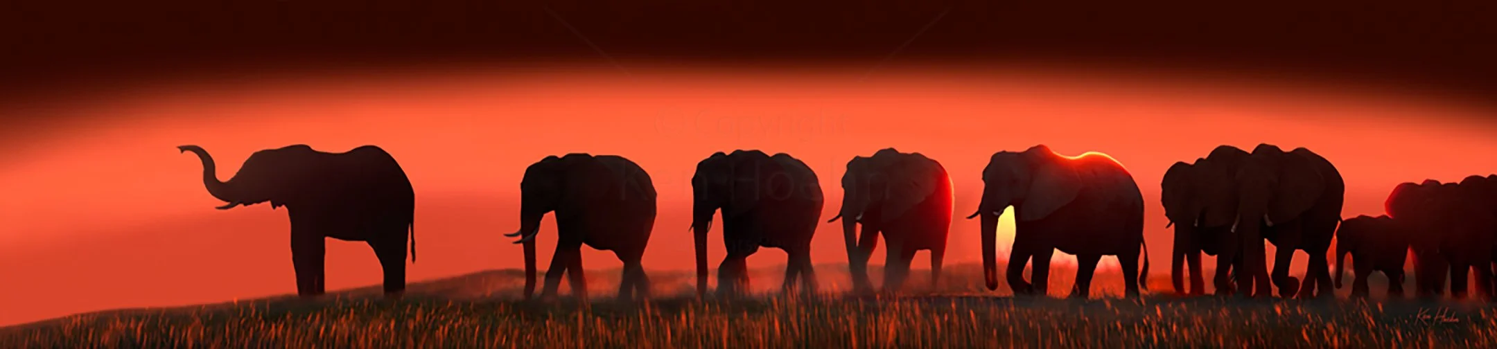 Matriarch Unframed.jpg