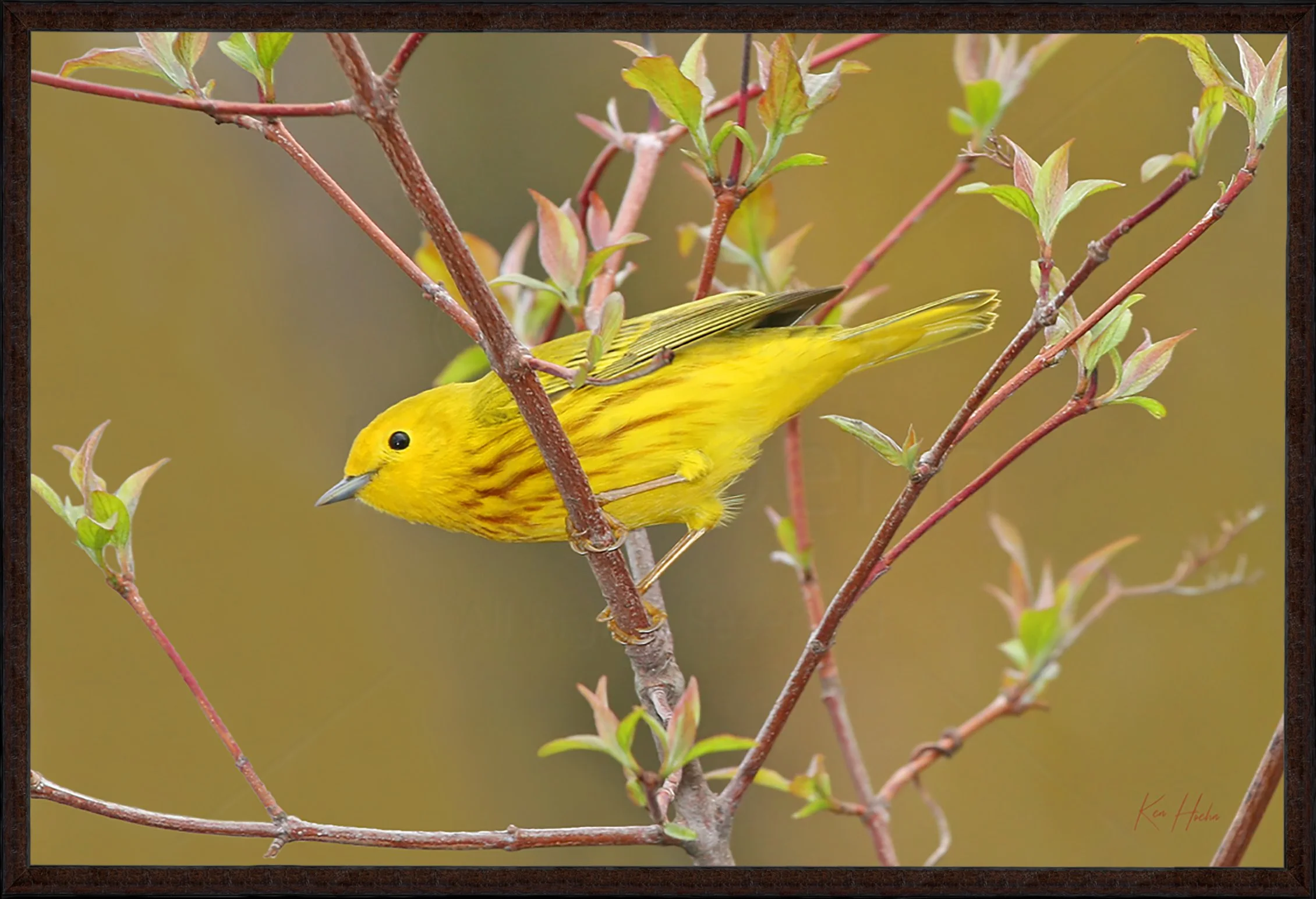 Beginnings Framed 87.jpg