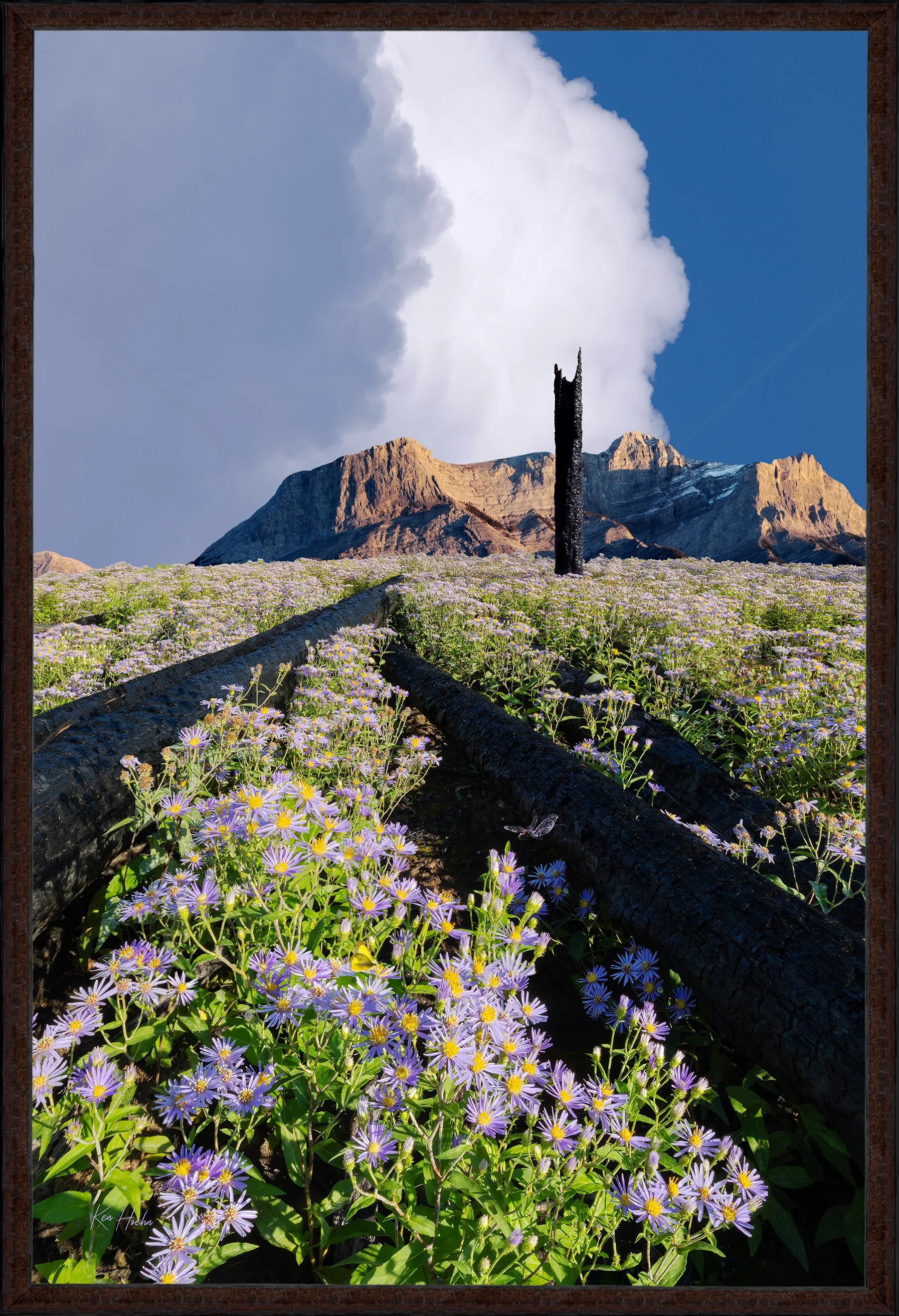 ashes to astres 3 to 2 fr87 watermarked.webp