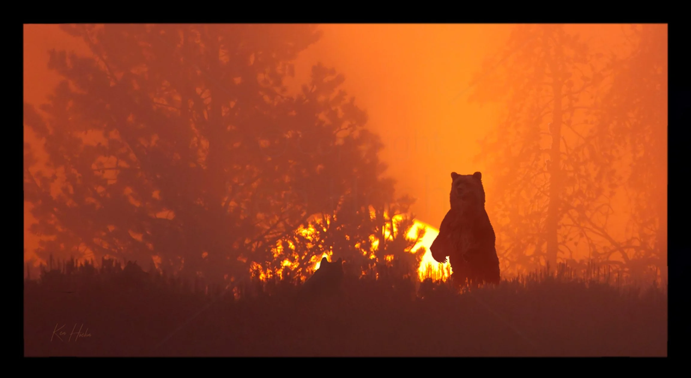 Cast of Shadows Framed.jpg