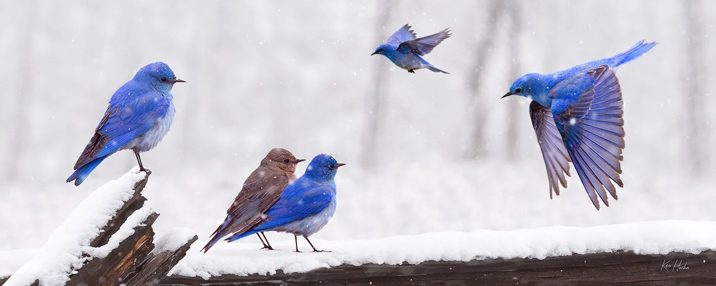 Coming Home Unframed.jpg