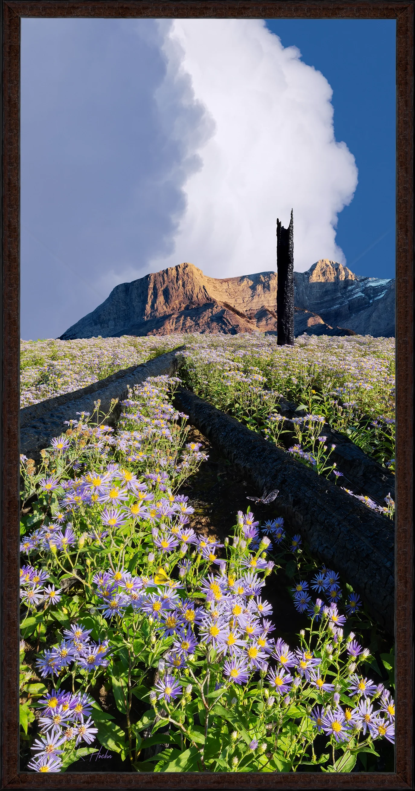 ashes to astres 2 to 1 fr87 watermarked.webp