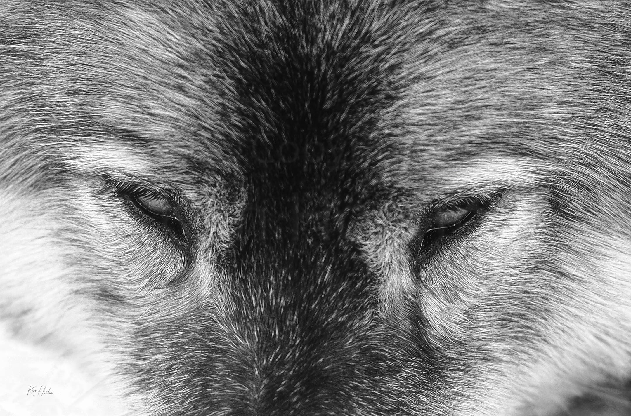 target acquired 3to2 uf.webp