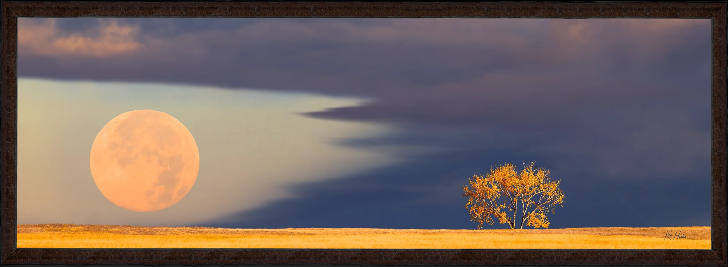 harvest moon 3 to 1 fr87 watermarked.webp