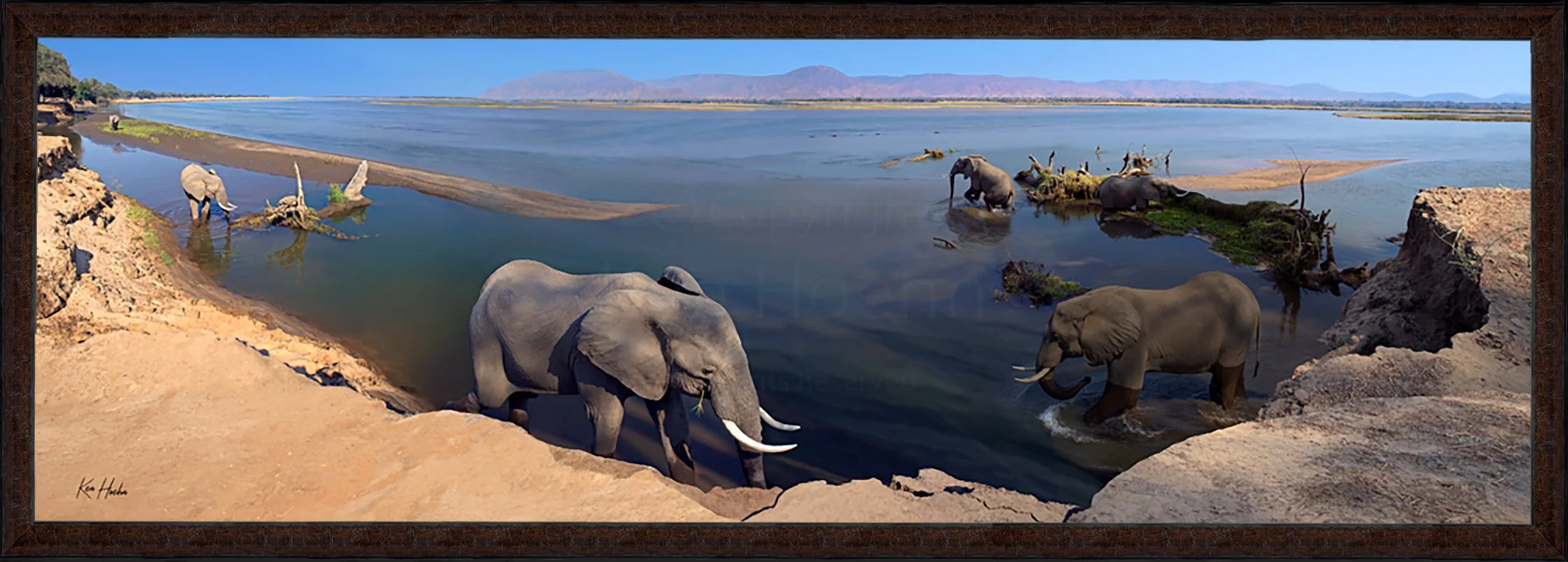 Zambezi Easy Framed 87.jpg